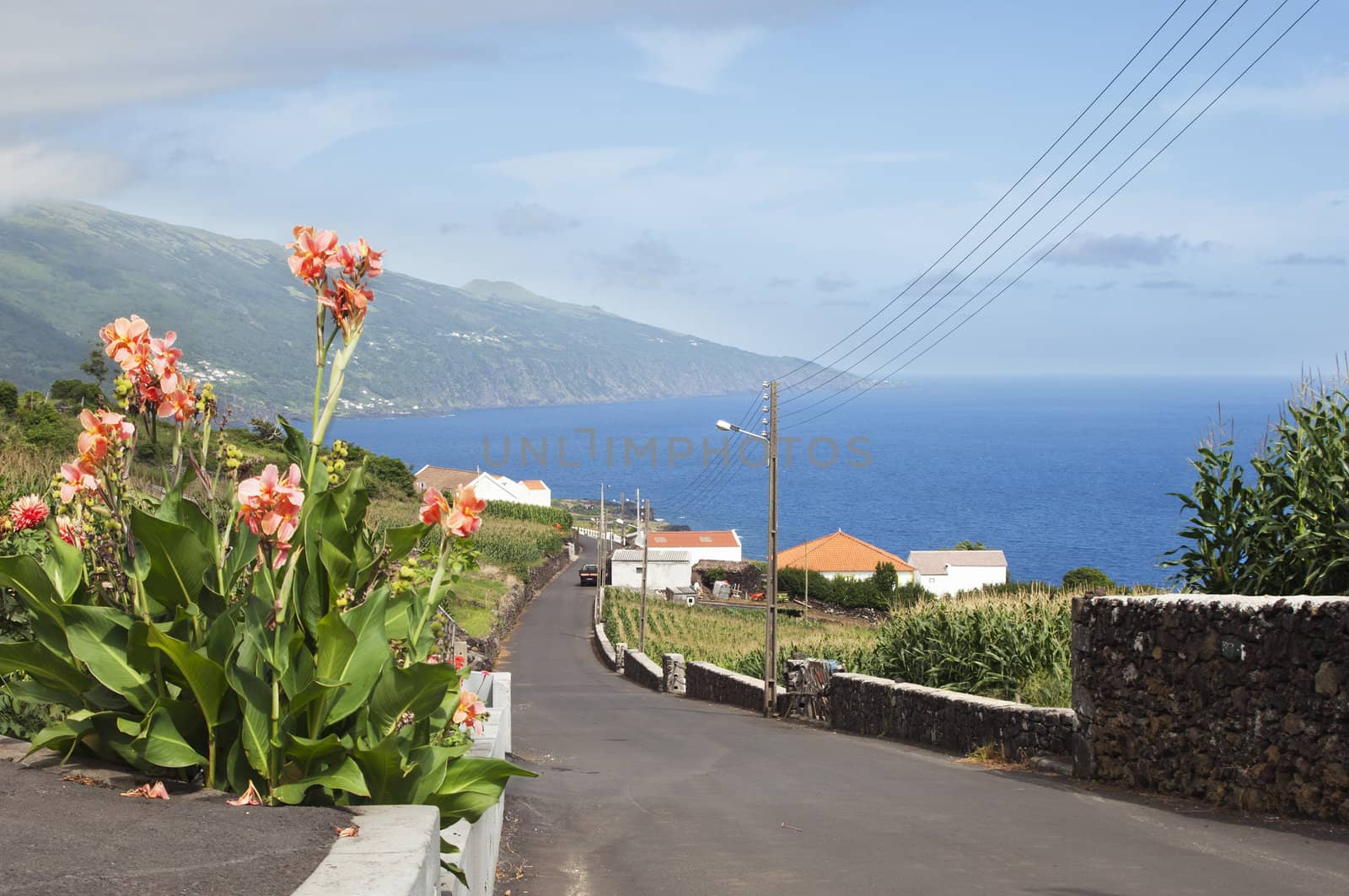 Country road in Pico island, Azores