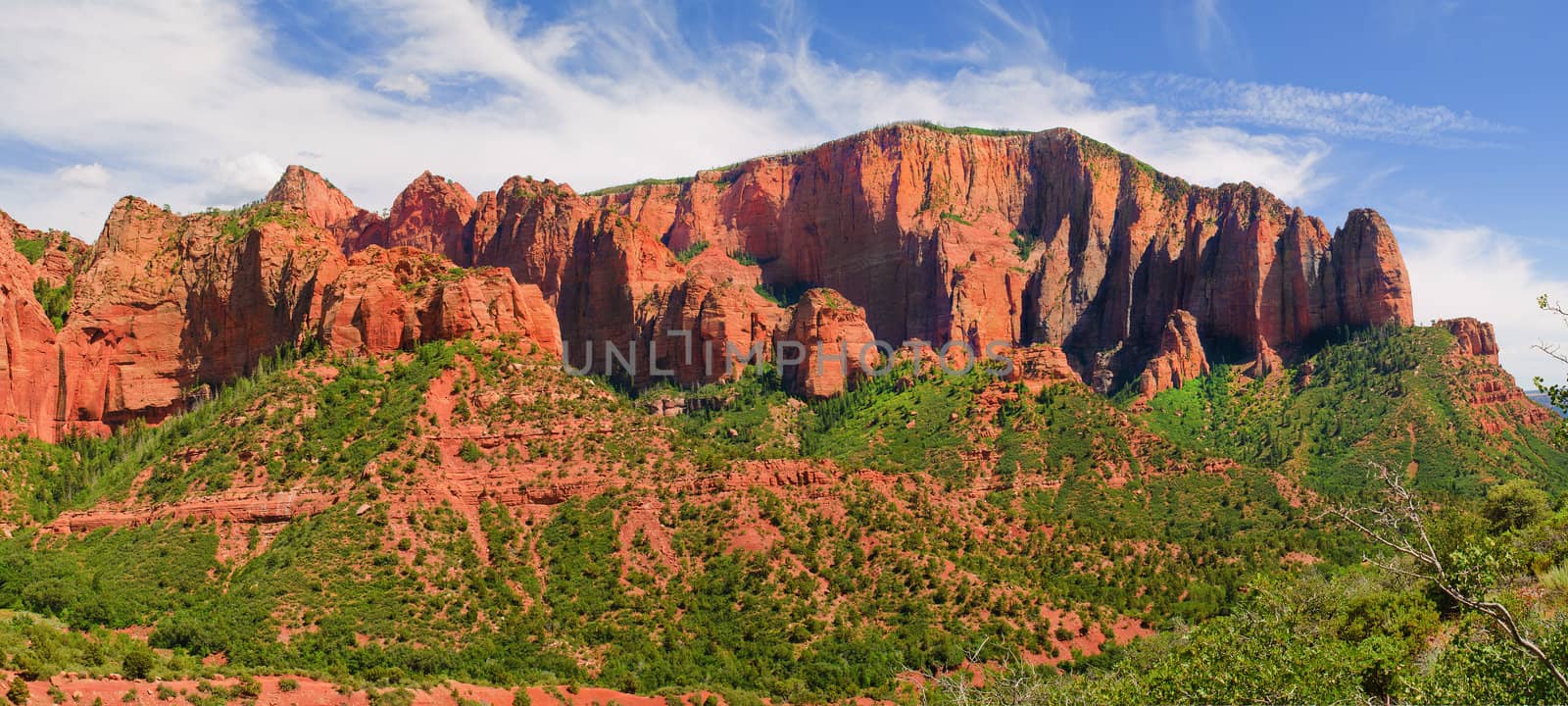 Cedar Breaks park panorama by jeffbanke