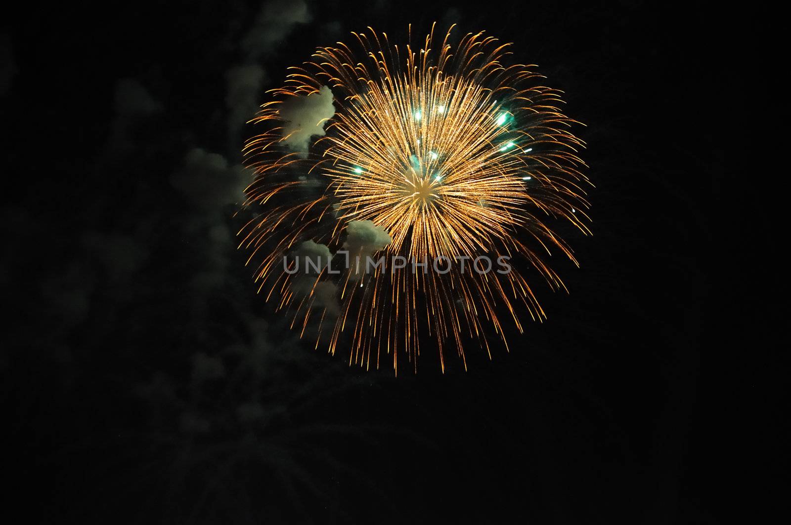 Celebration with fire works on the night sky