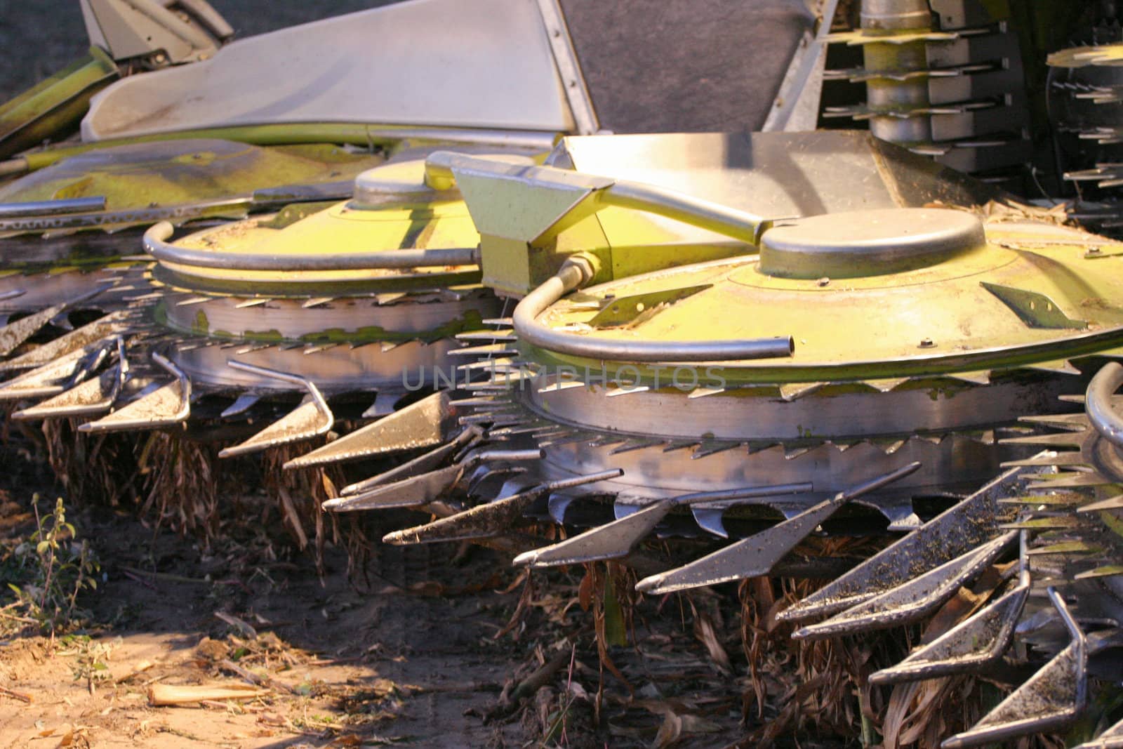 Metal blades of a corn chopper during harvest
