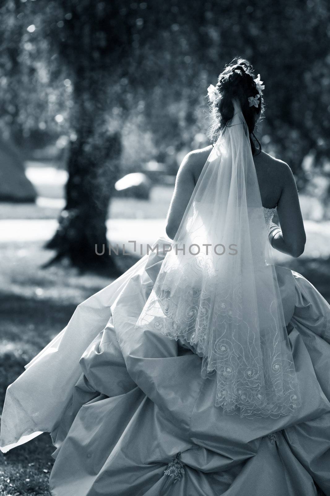 The beautiful bride in park