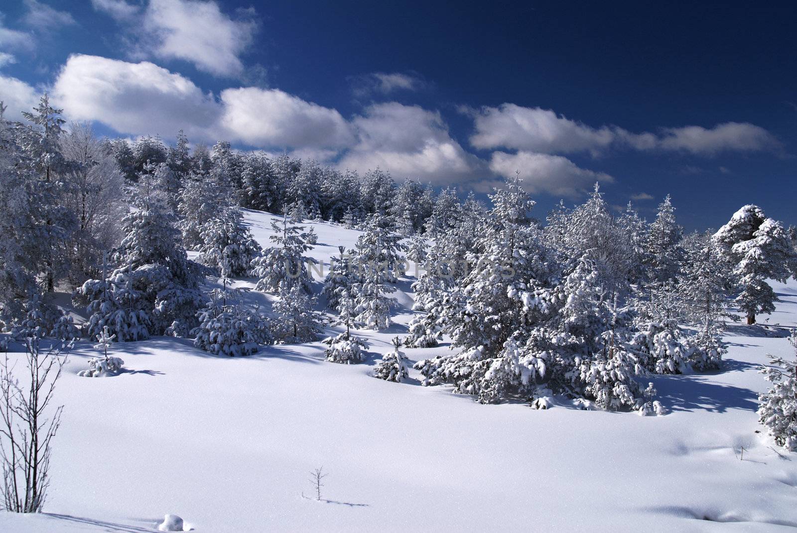 Mountain Winter Idyllic Scene