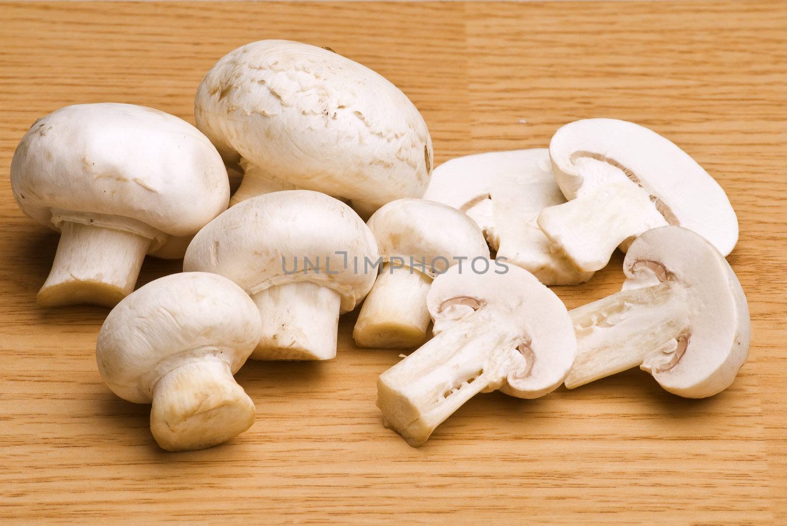 Mushroom food by adamr