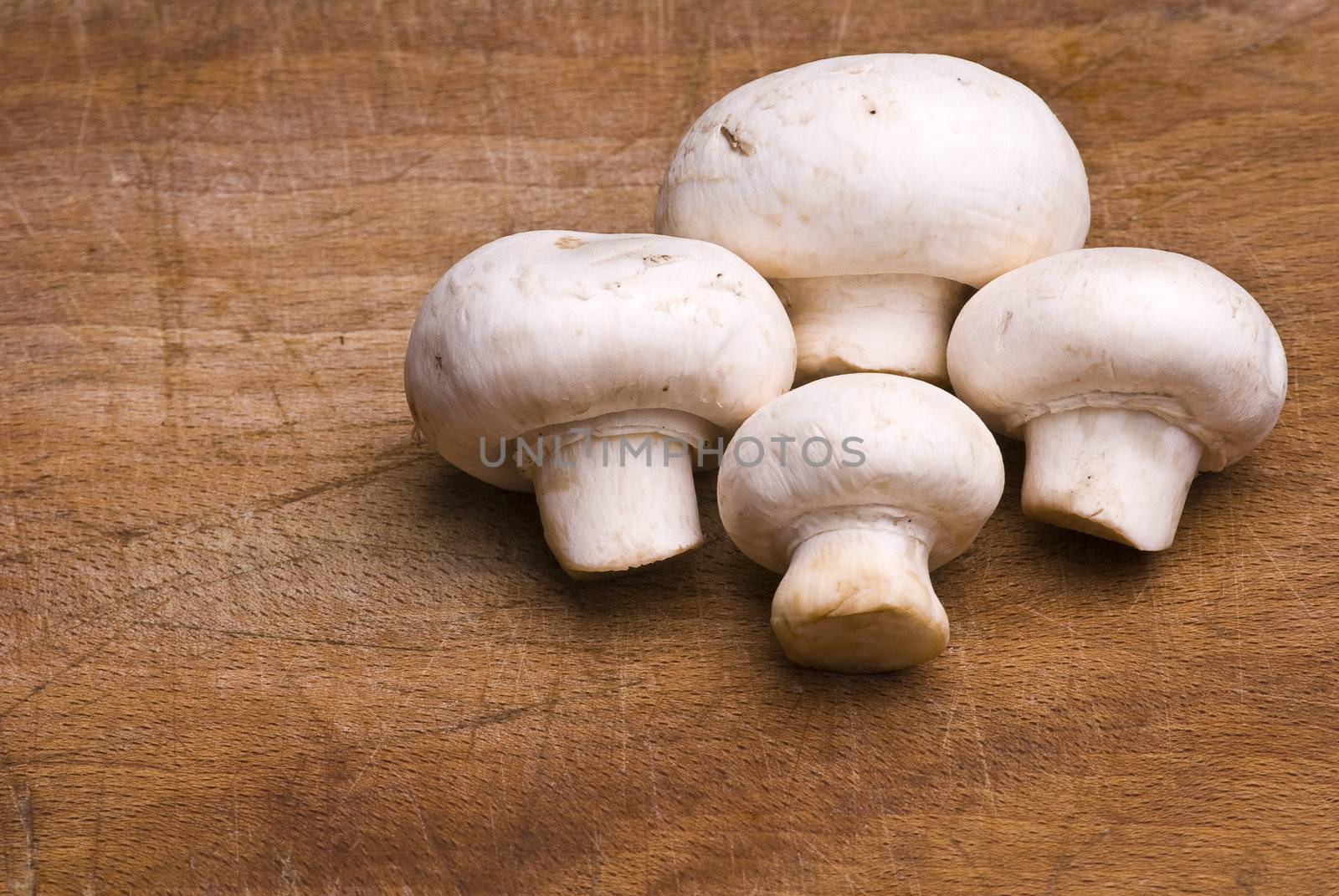 Mushroom food by adamr