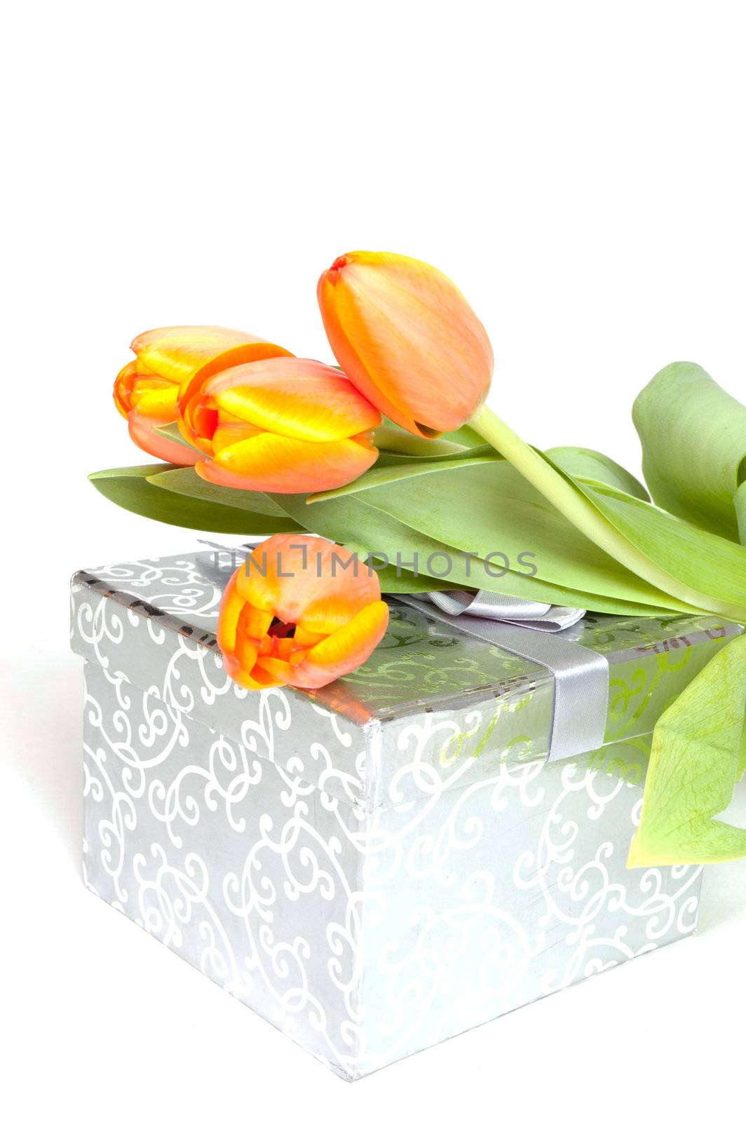 yellow orange tulips laying on a silver present