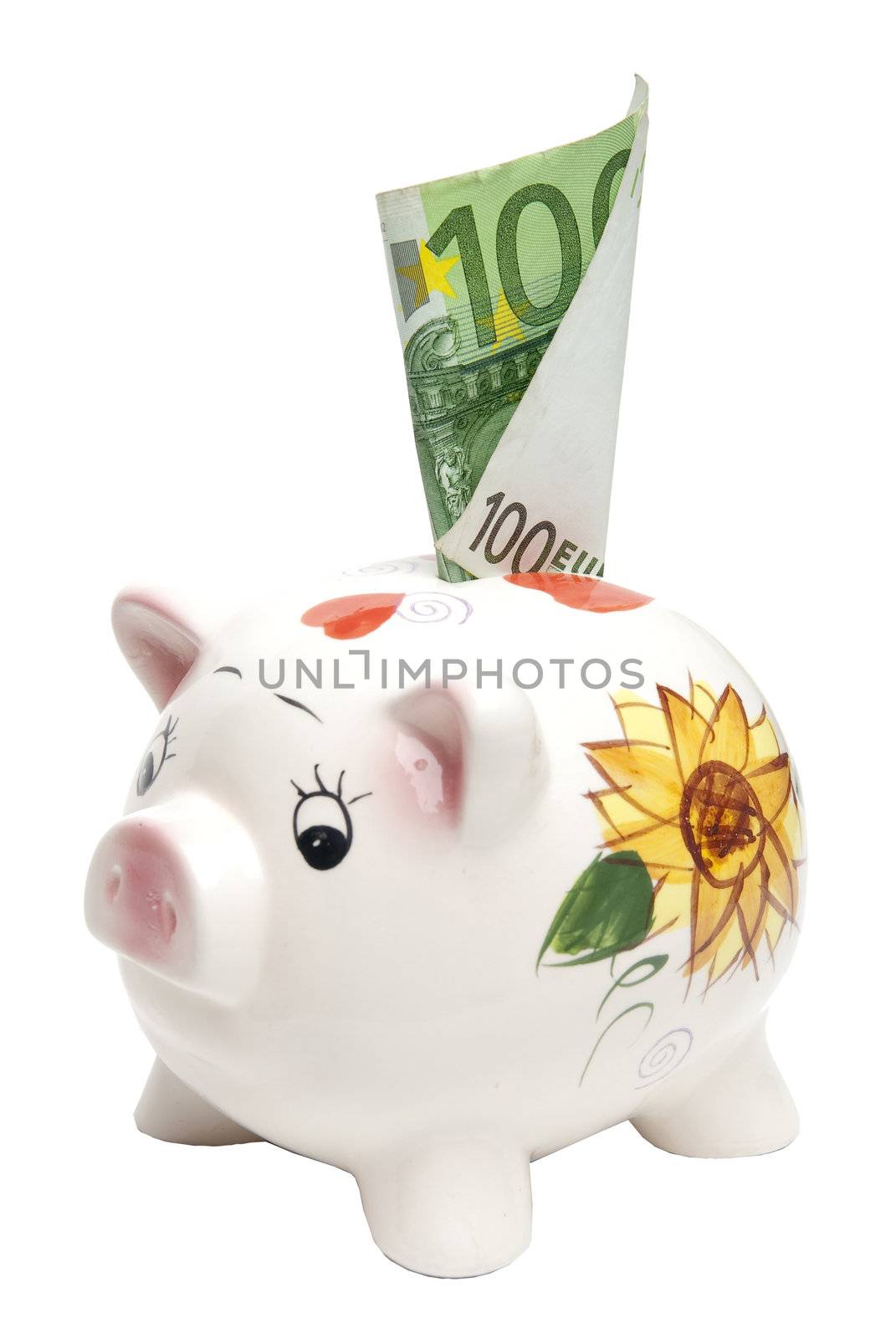 Piggy Bank with euro bill sticking out from it.