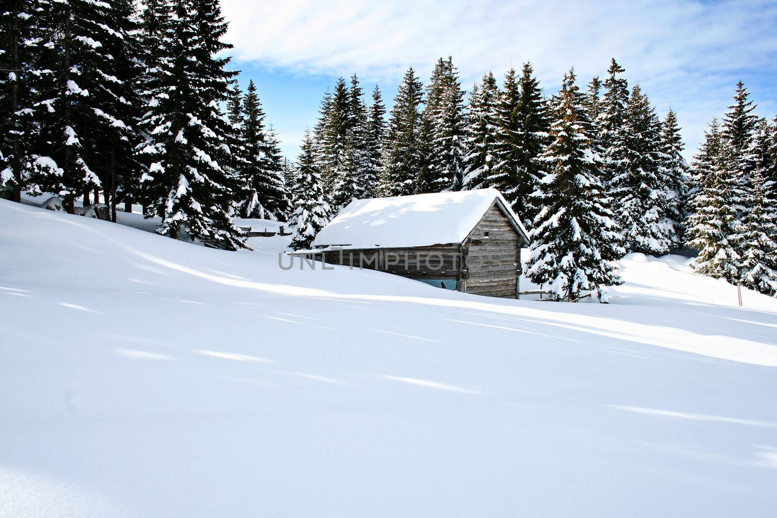 vintage wooden mountain cottage among pine trees