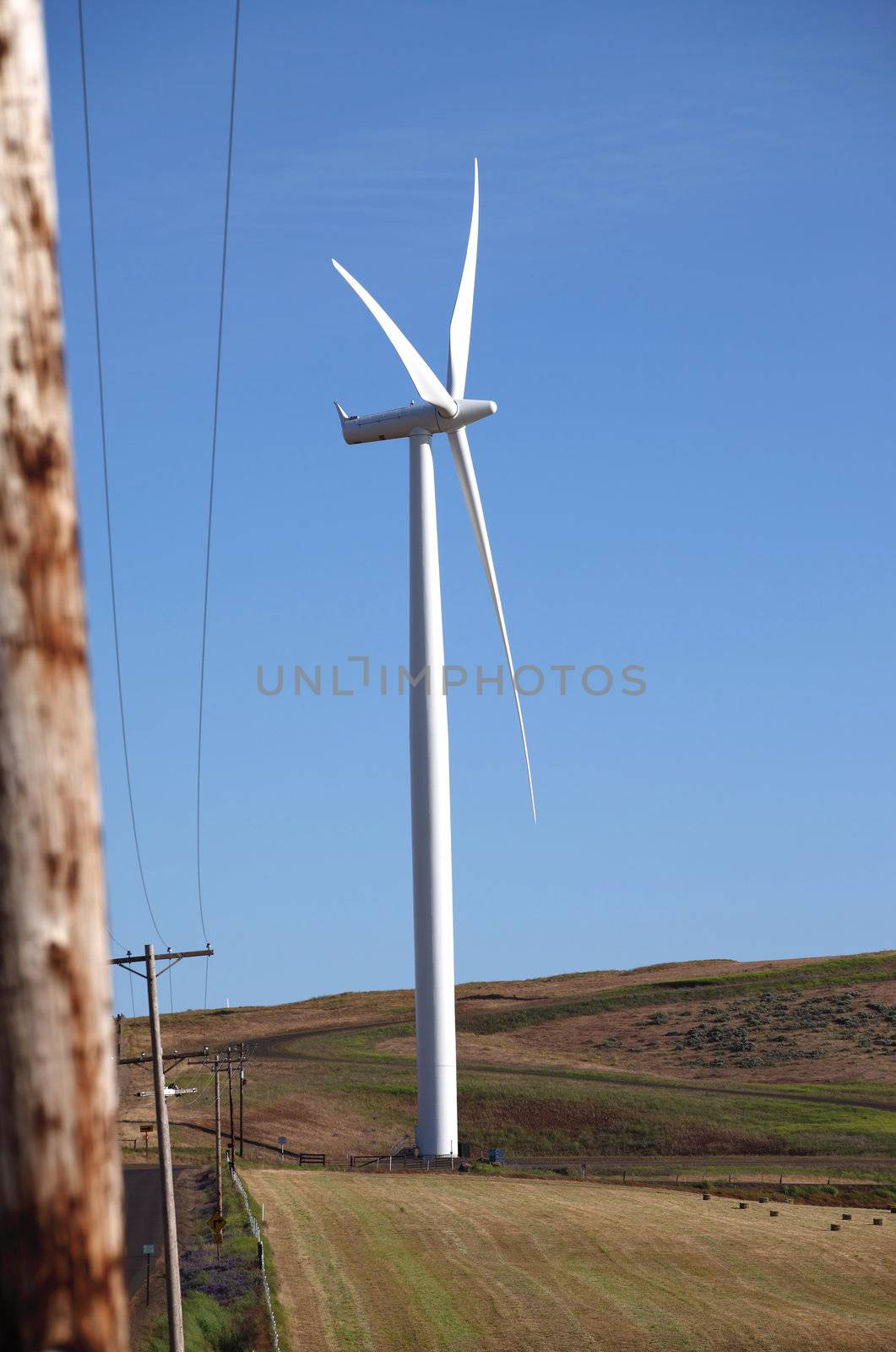 Wind energy, wind turbine in a field Washington state.