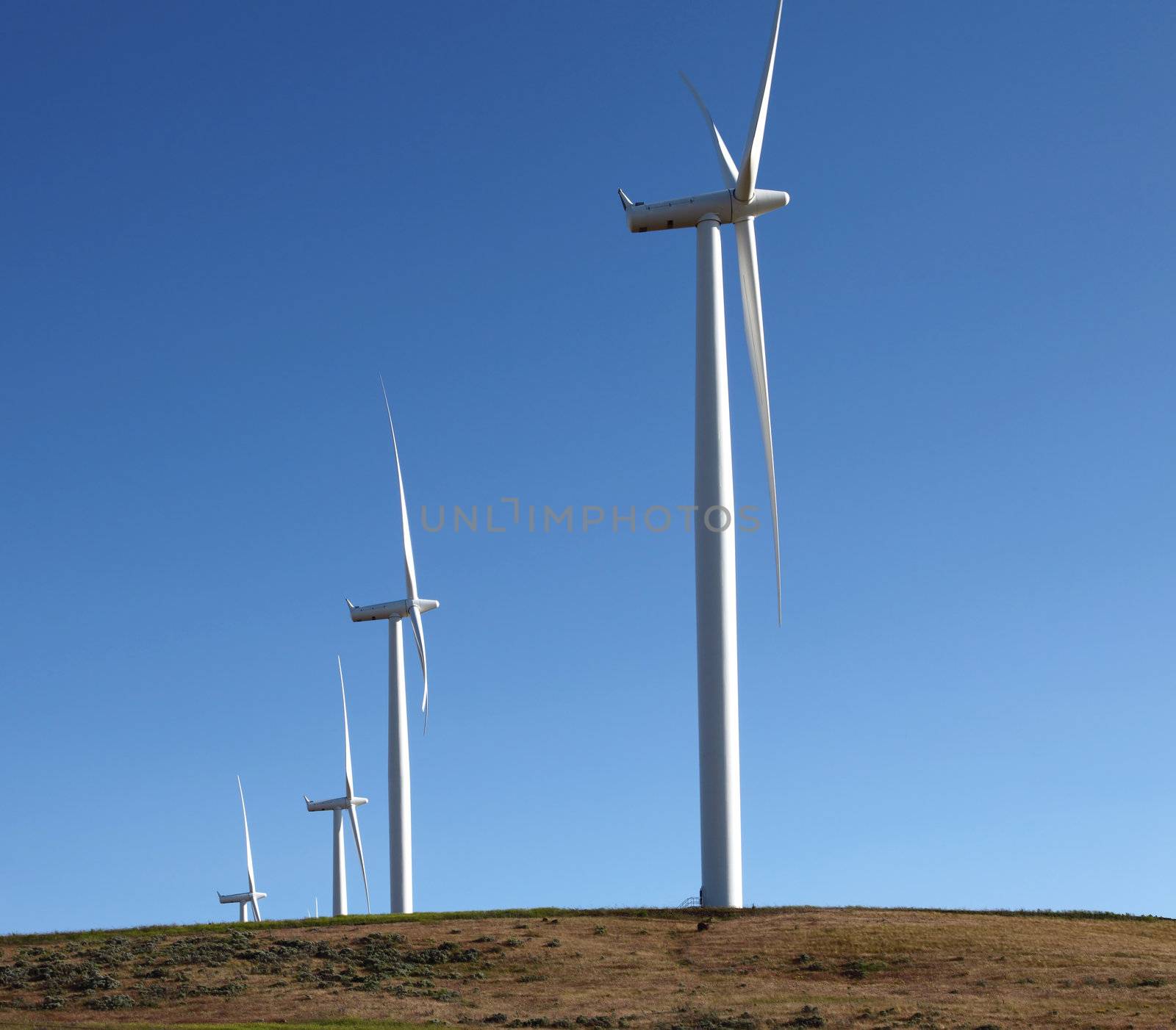 Turbine blades and generators creating power with the wind.