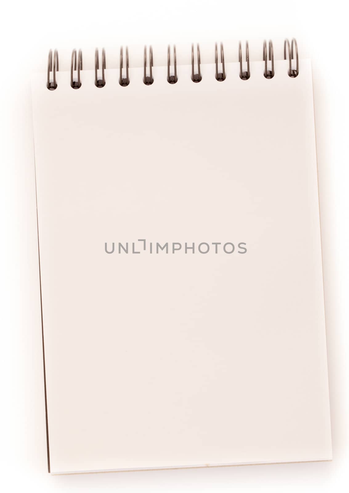 White paper on white background of ring binder notebook.