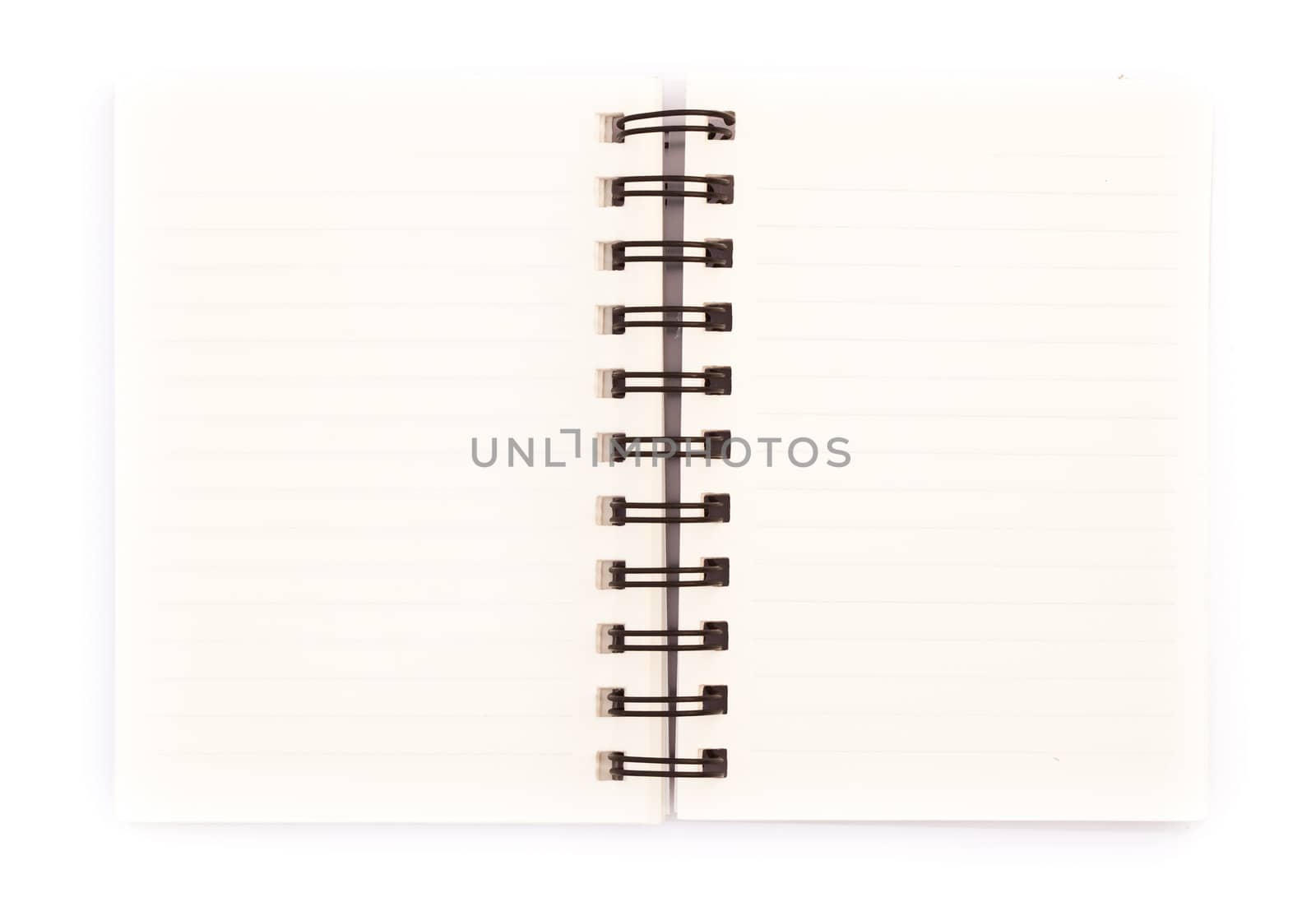 White paper on white background of ring binder notebook.