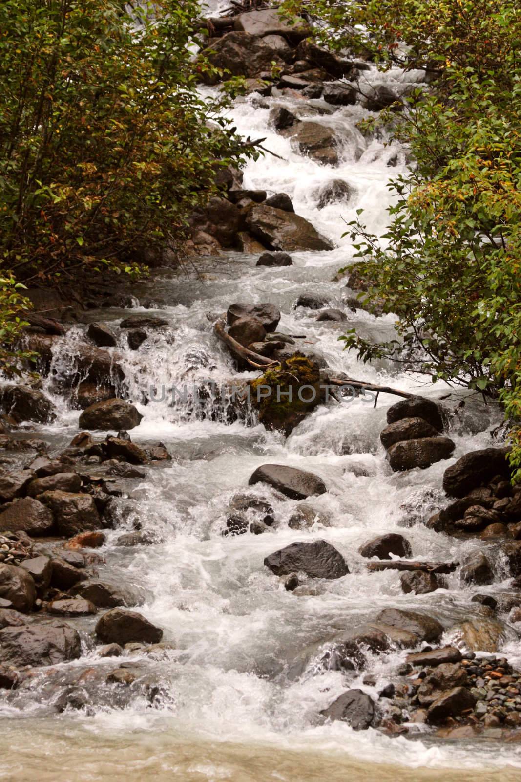 Swift flowing mountain stream in British Columbia