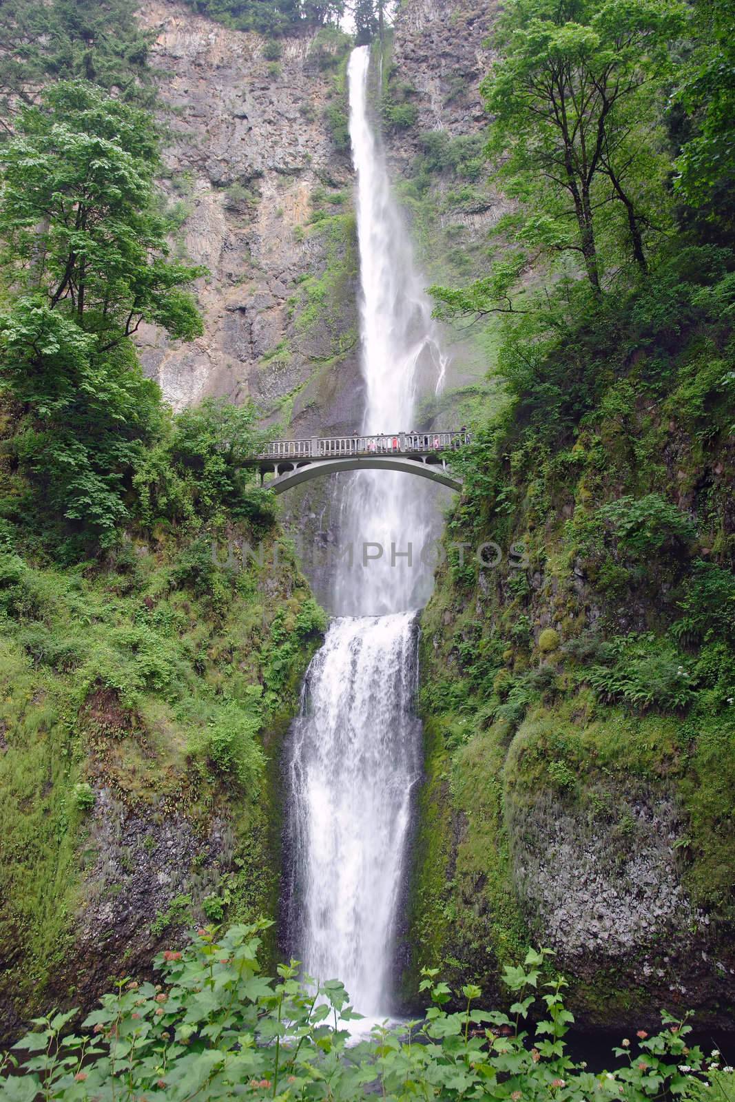 The tallest falls in the United States found in Oregon.