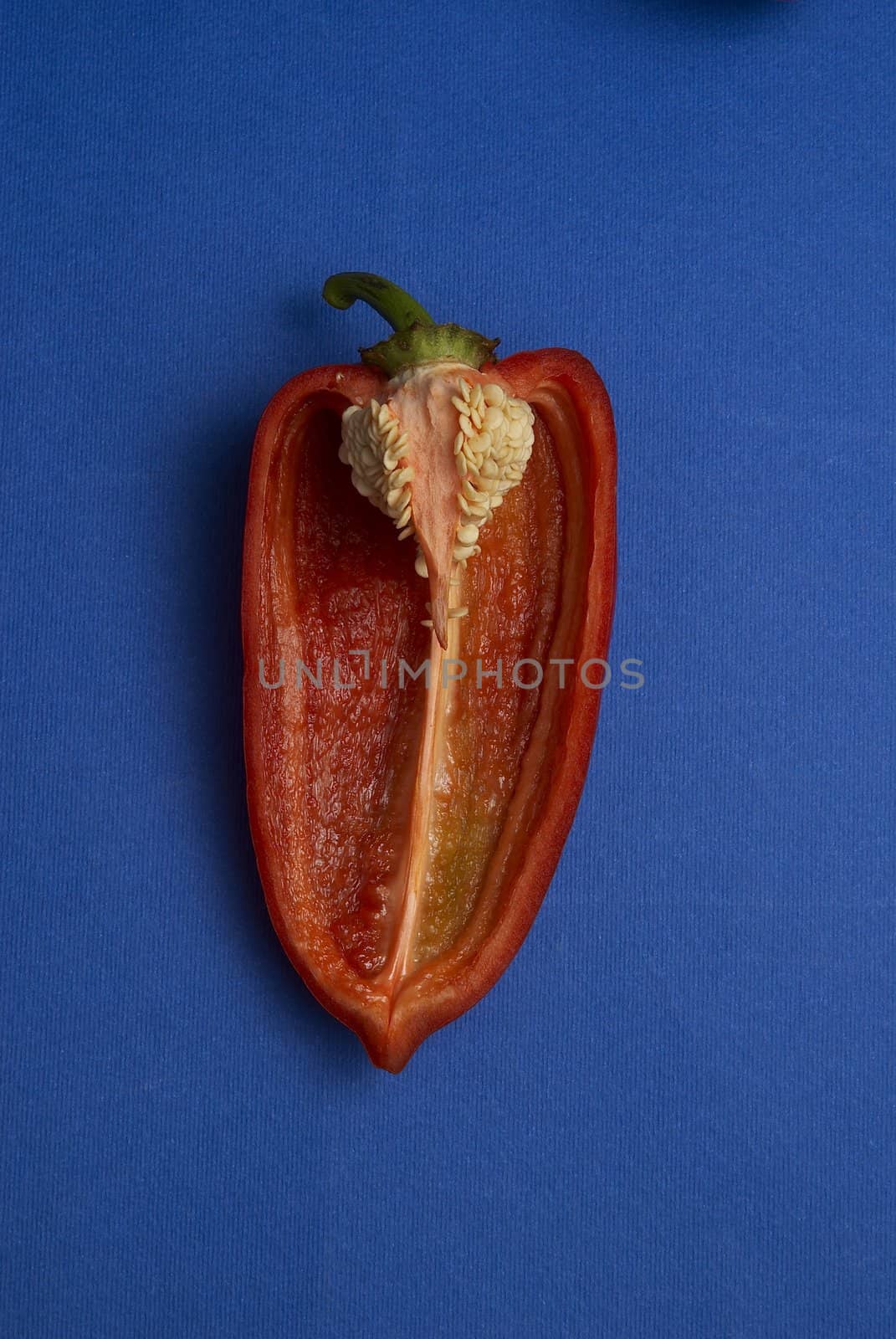 Half of red pepper by adamr