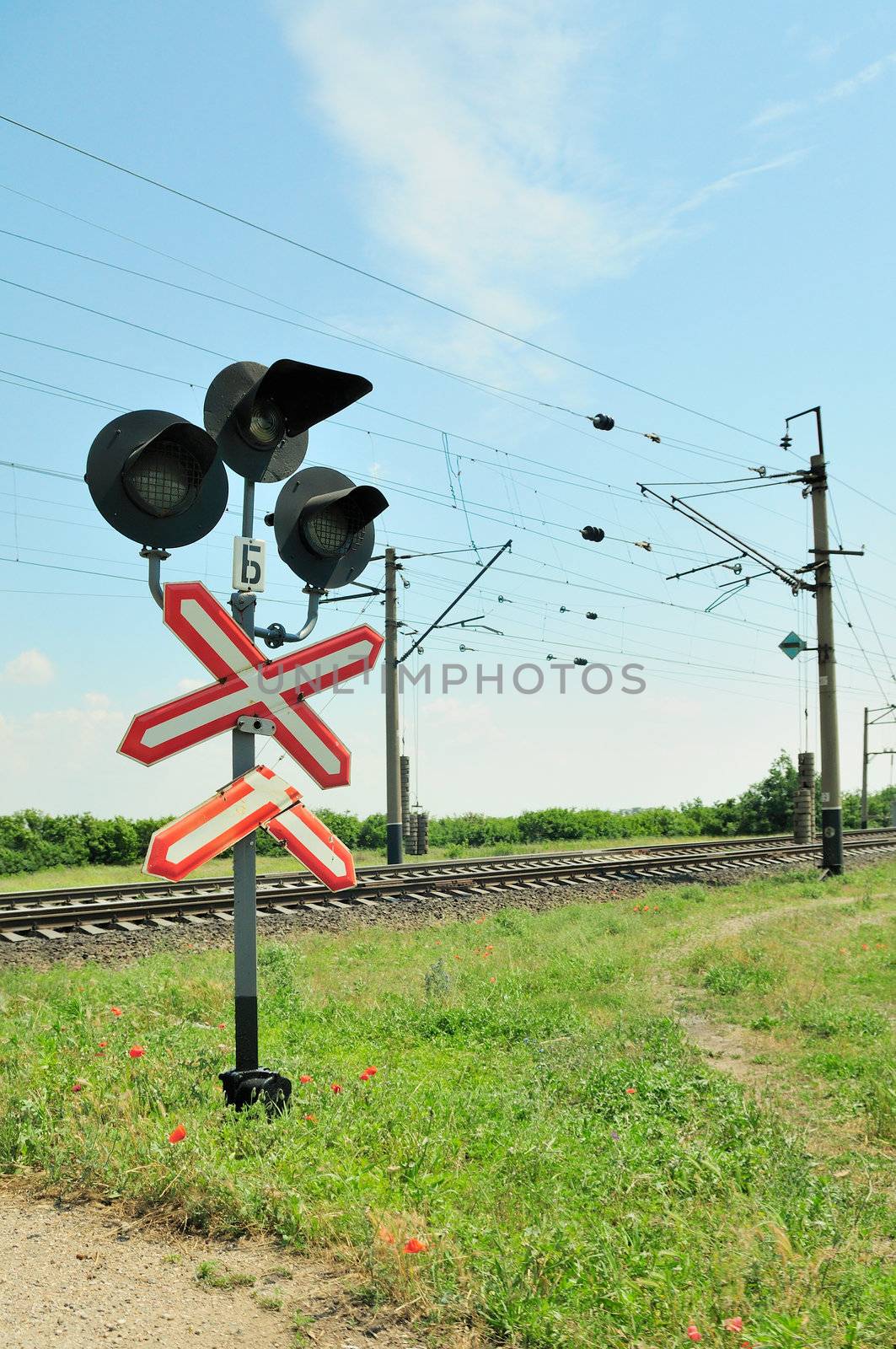 Traffic lights at a railway crossing and railroad.