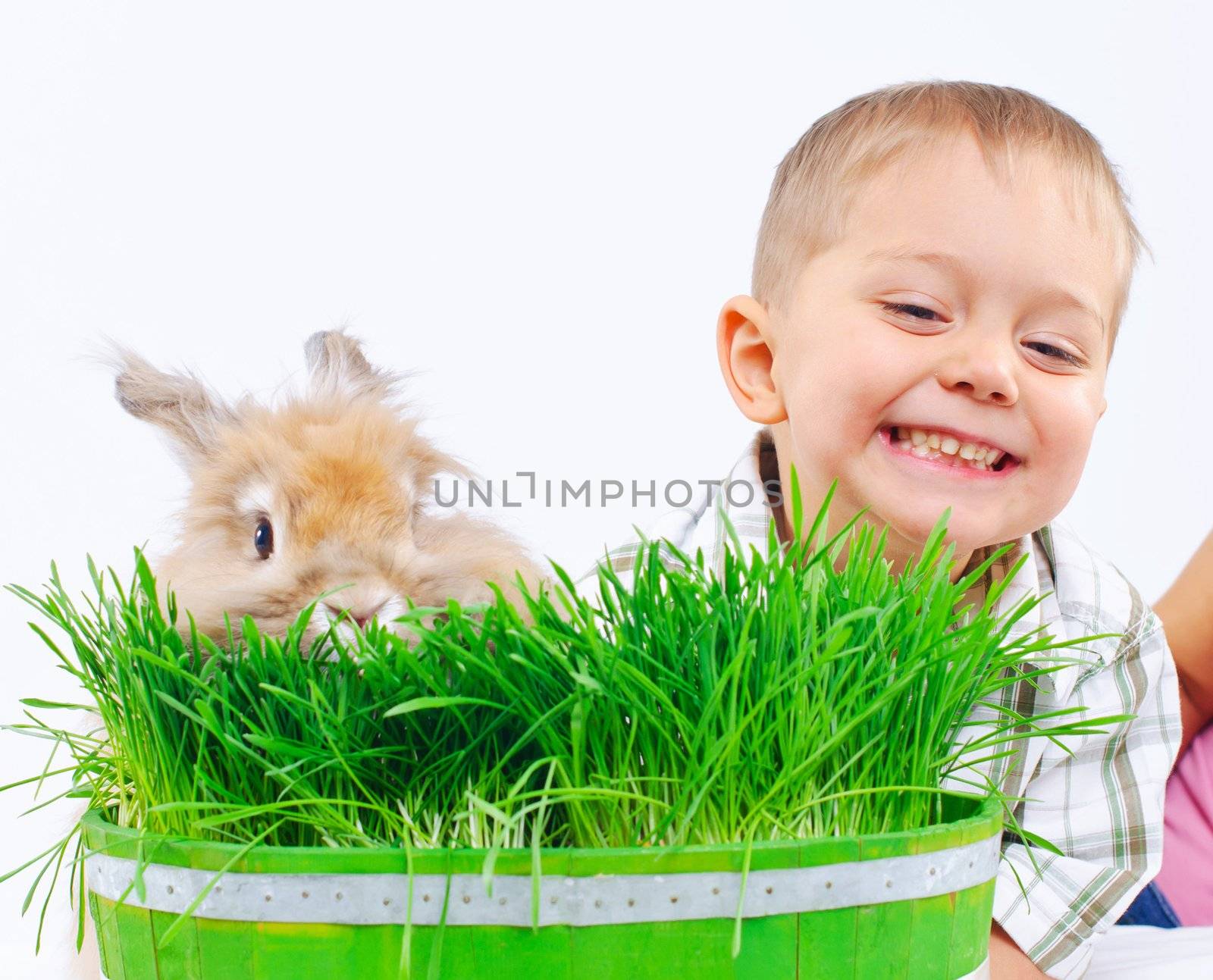 Cute boy with a rabbit on green grass. In the studio