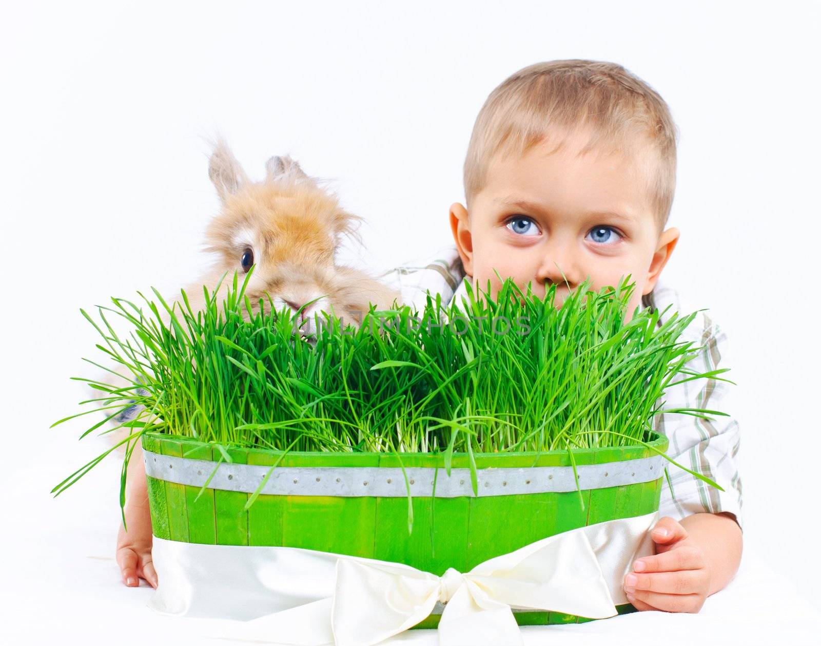 Cute boy with a rabbit on green grass. In the studio