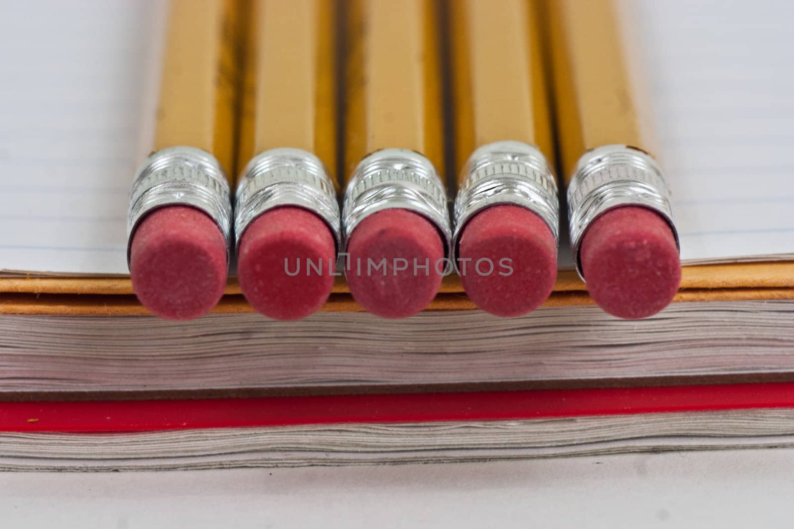 Closup of pencils looking head on, on a white background.