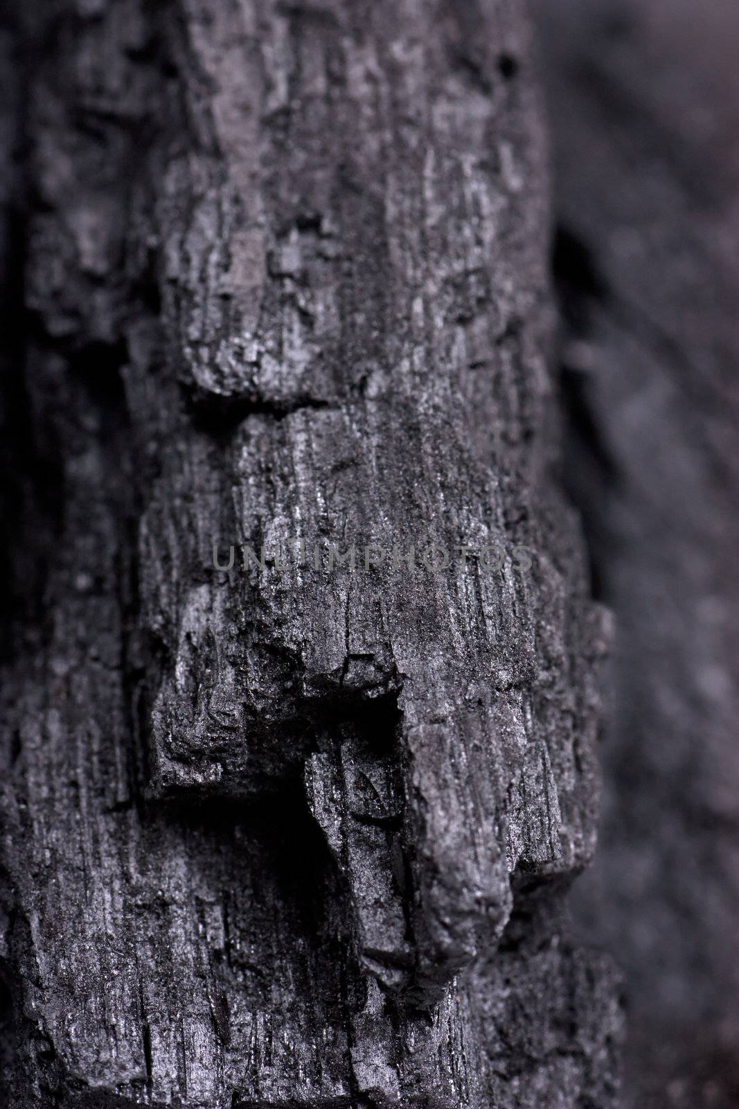 Macro view of charcoal texture