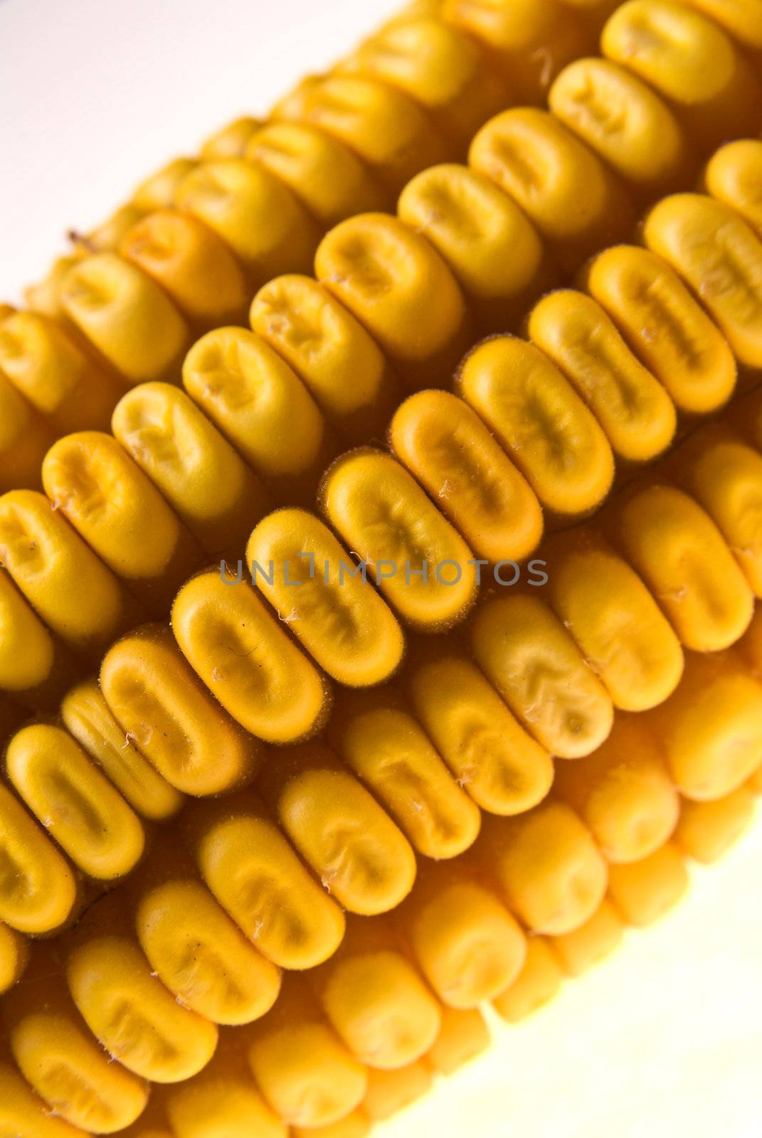 Yellow Corncob isolated on white