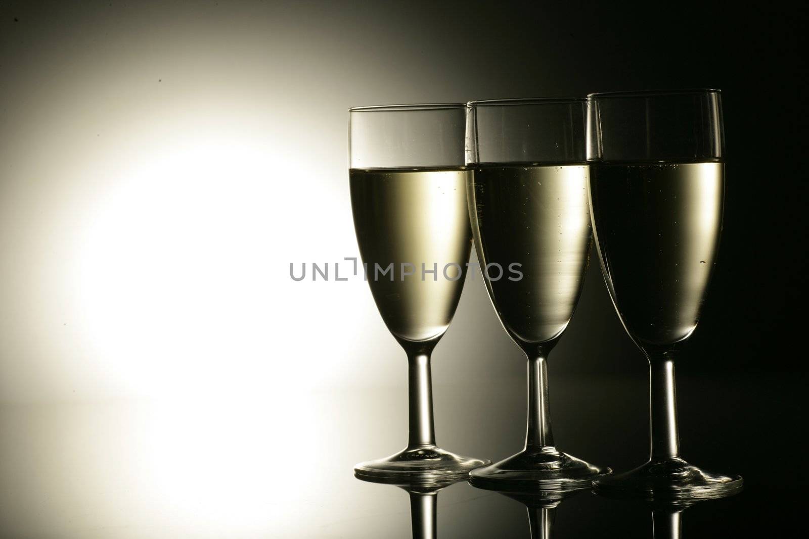sparkling champagne wine glasses shot in studio