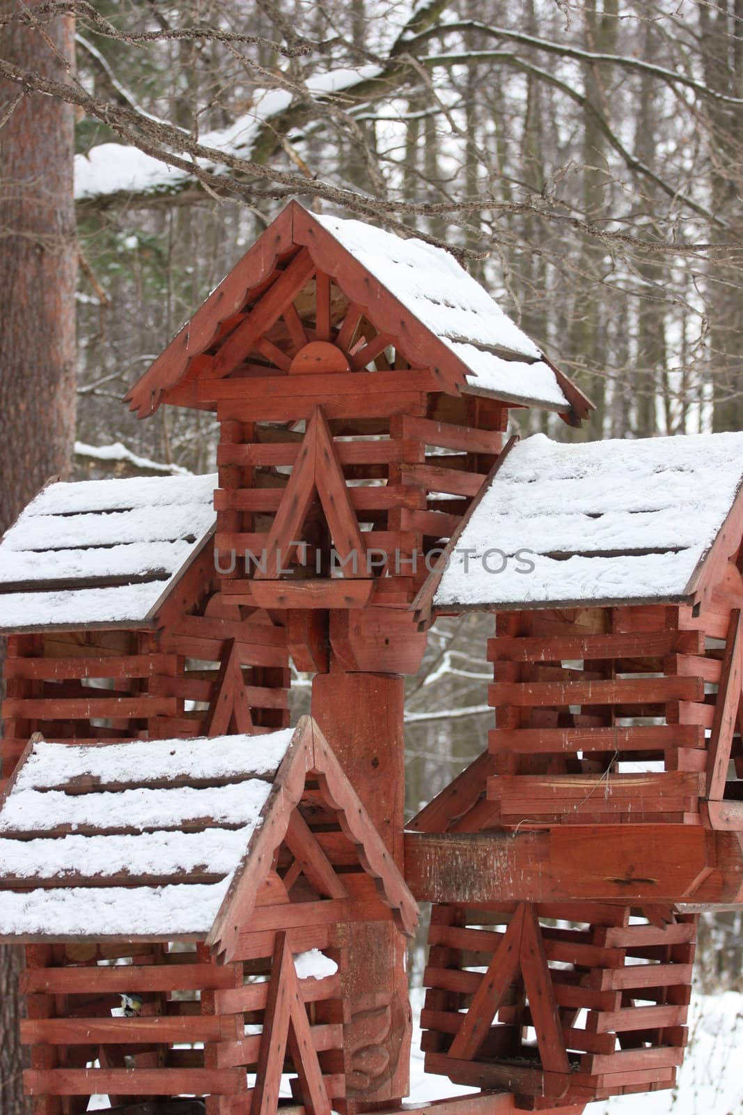 Close up of a bird house in a park.