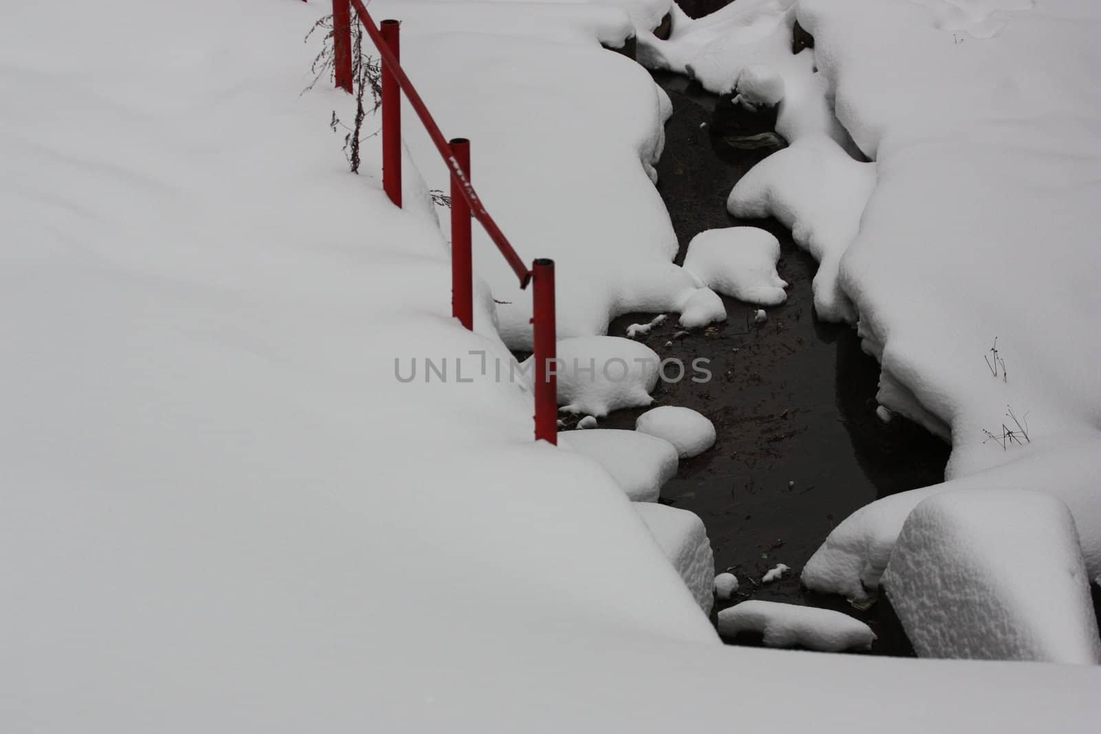 Water In a Frozen Lake in a forest.