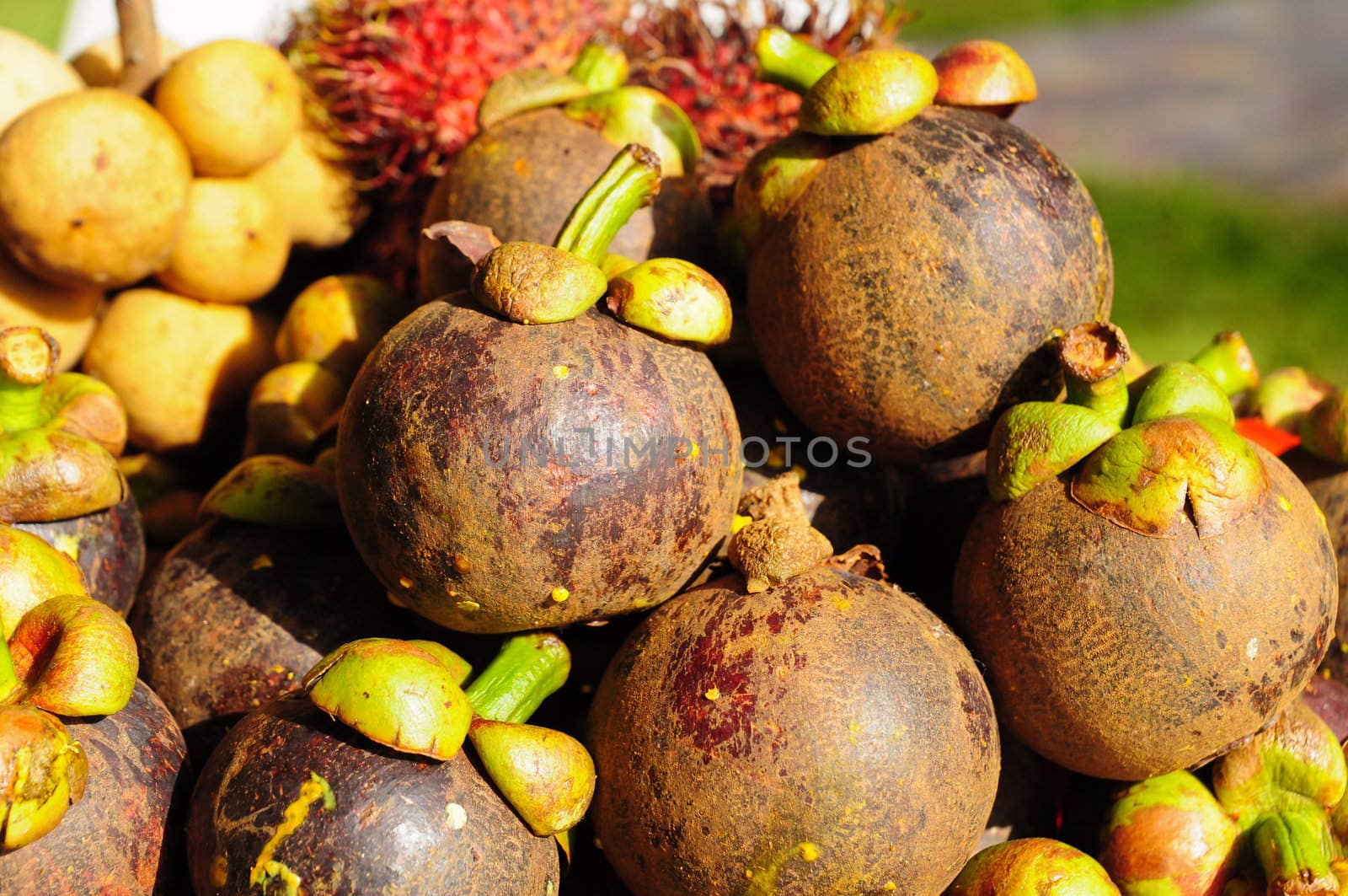 mangosteen fruit