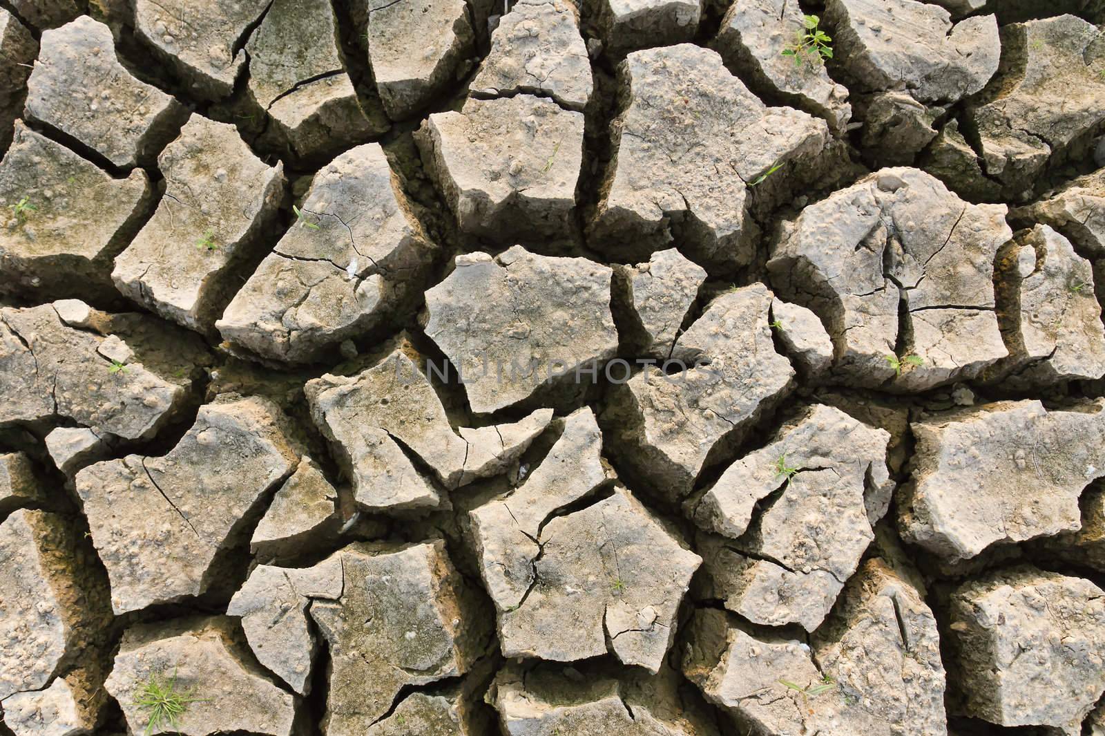 Cracked earth  metaphoric for climate change and global warming.