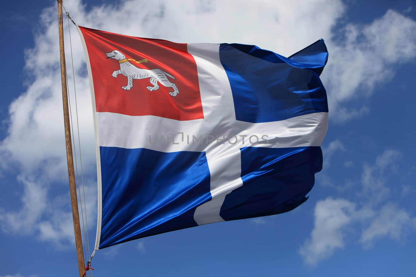 Image of a medieval flag in the wind against a white background.