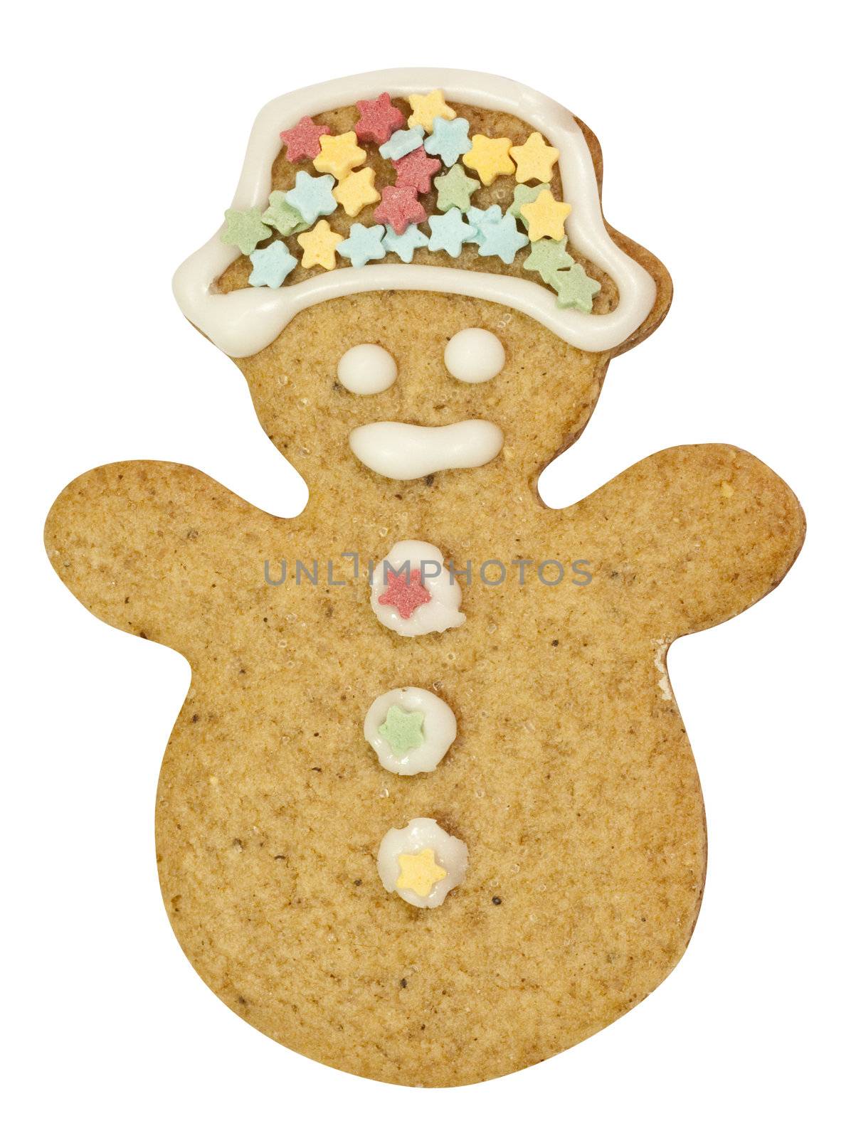 Gingerbread cookie decorated with frosting and stars
