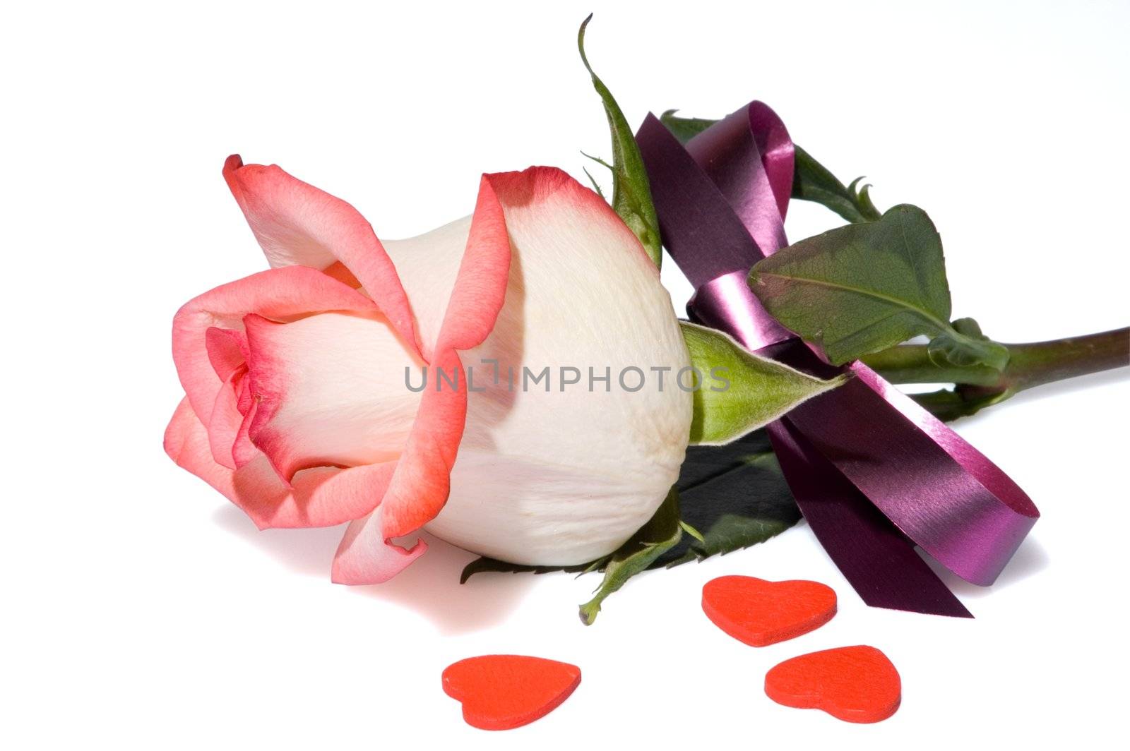 The pink rose, purple ribbon and some small hearts on a table