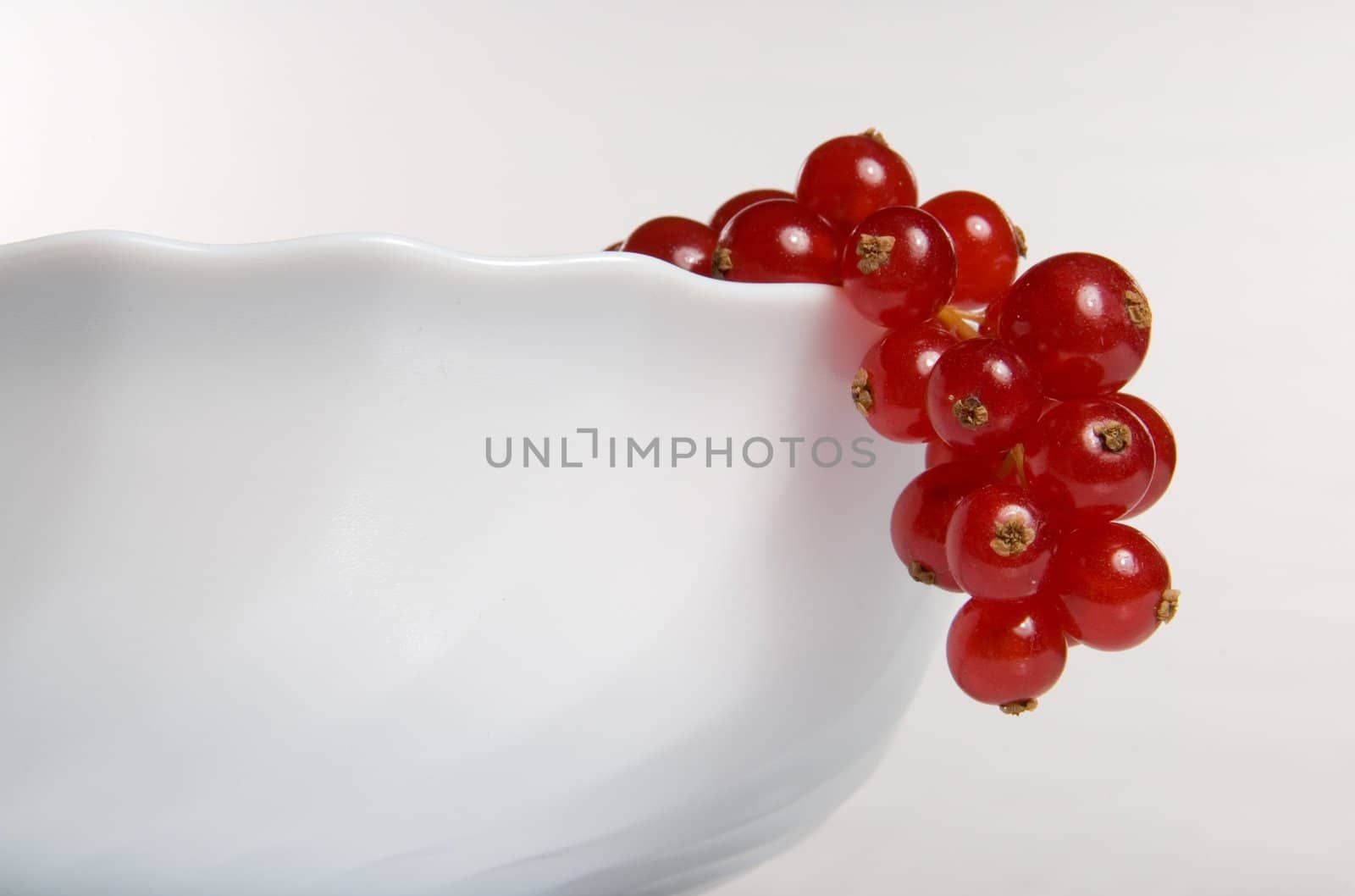 Red currant in a white cup