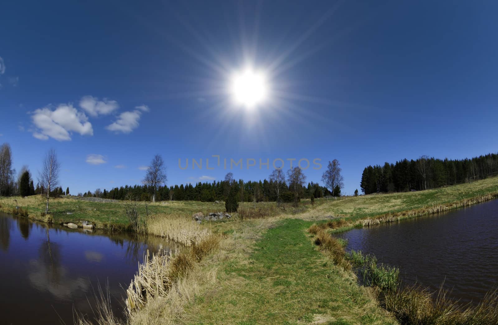 Grass bridge over a lake in perfect weather and blue sunny sky