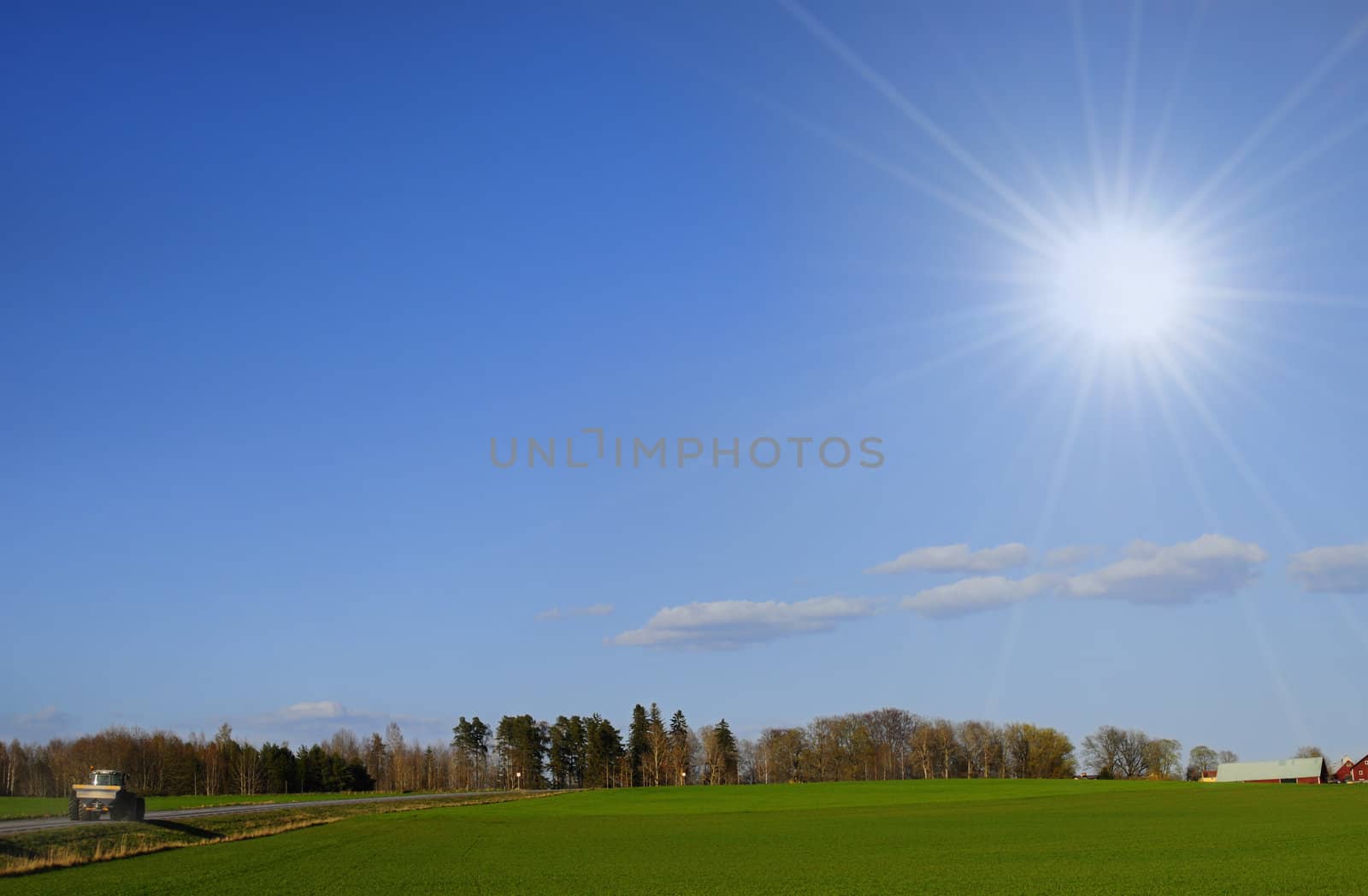 green farmland and perfect blue sky