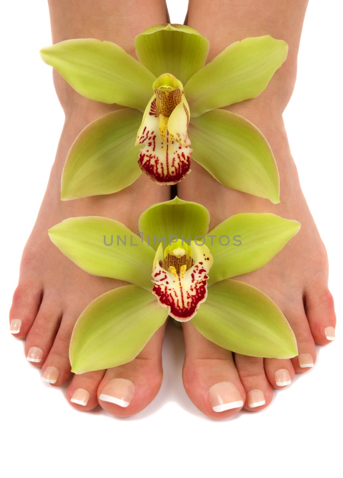 Pedicured feet with beautiful fresh orchids