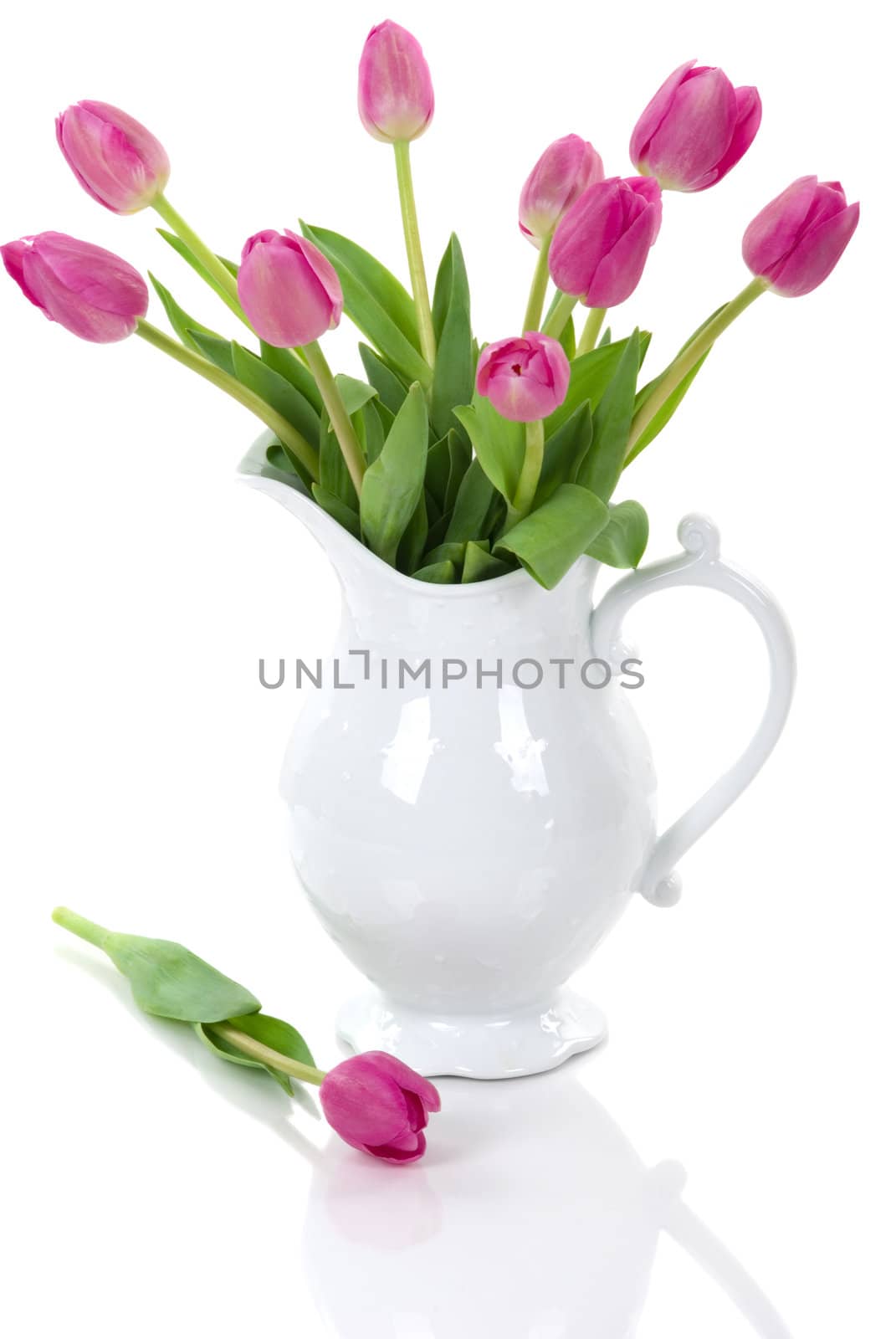 A bouquet of elegant tulips in a beautiful pitcher vase