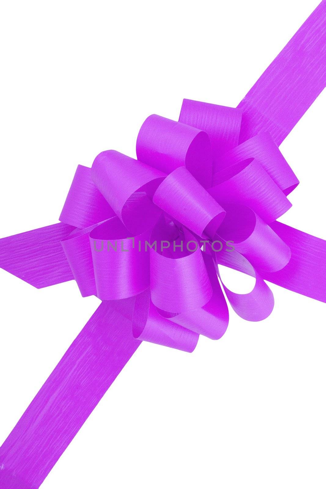 a purple ribbon  isolated on the white background