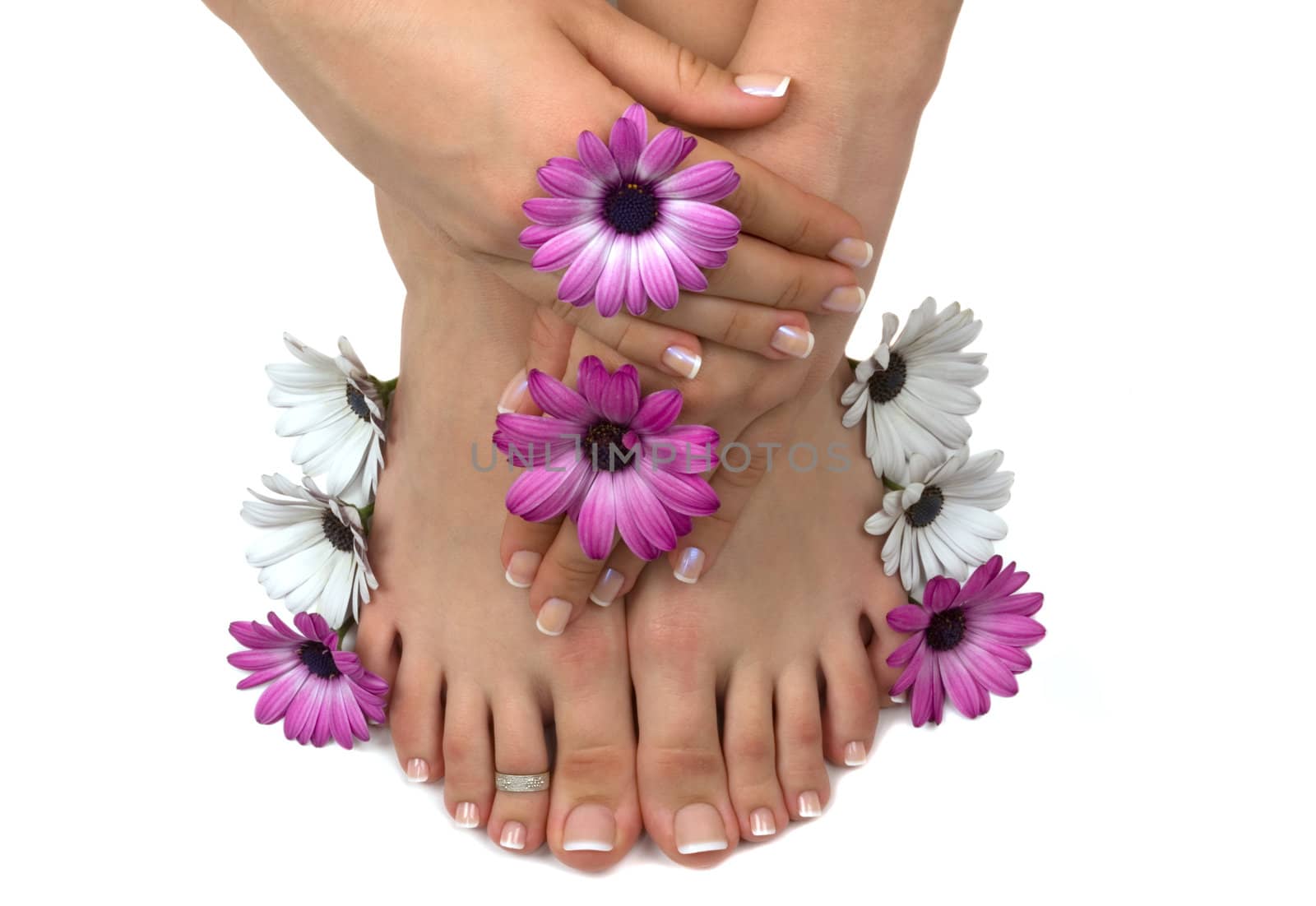 Beautiful pedicured feet and manicured hands with colorful spring daisies in a spa
