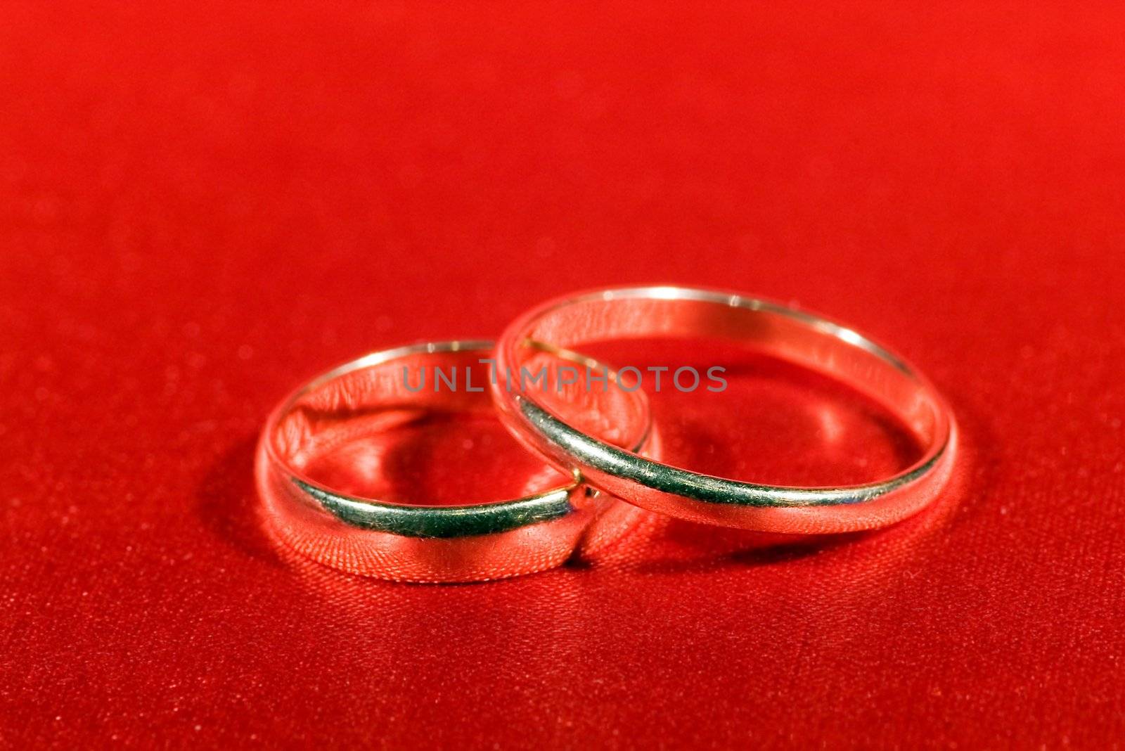 On a photo wedding rings on the red background


