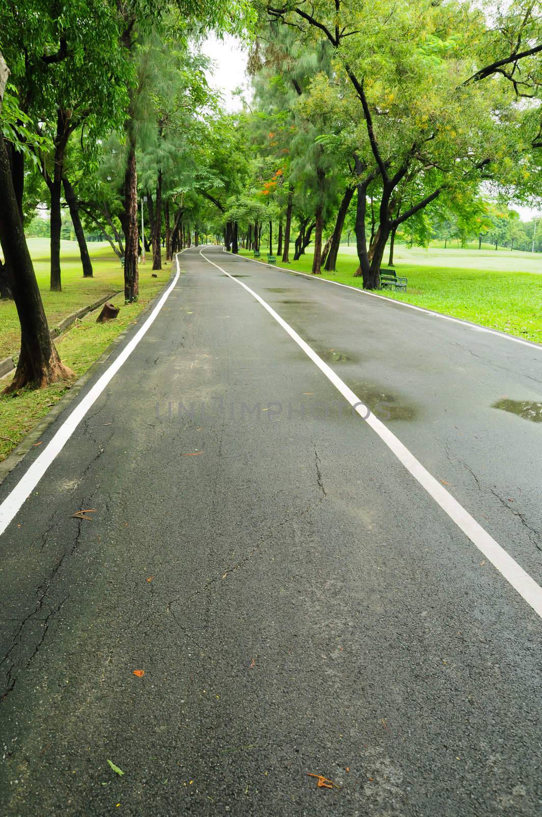 road and garden