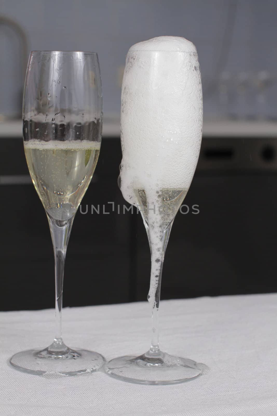 Champagne Bottle Ready For Celebration by yucas