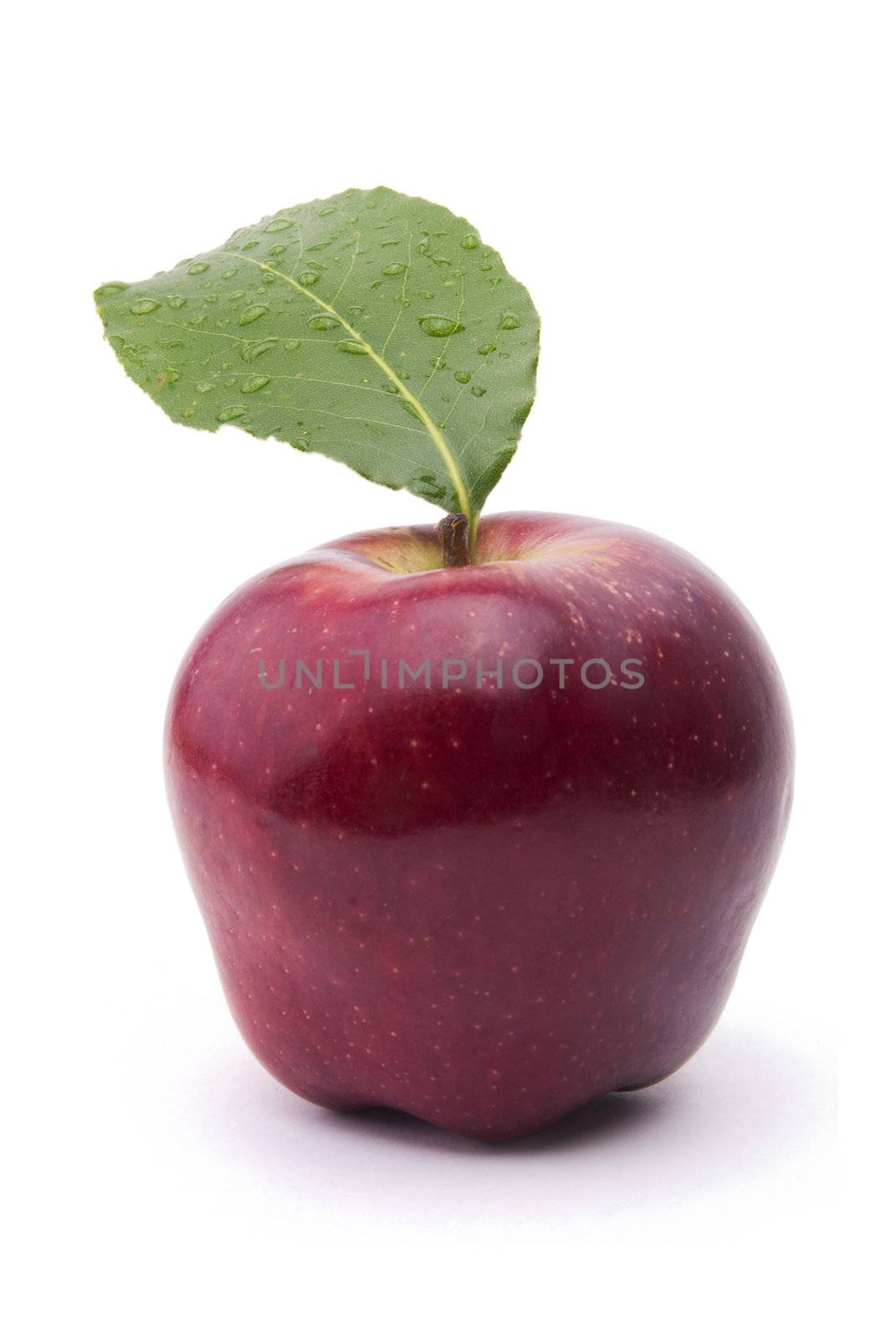 Red Apple Fresh Fruit On White Background