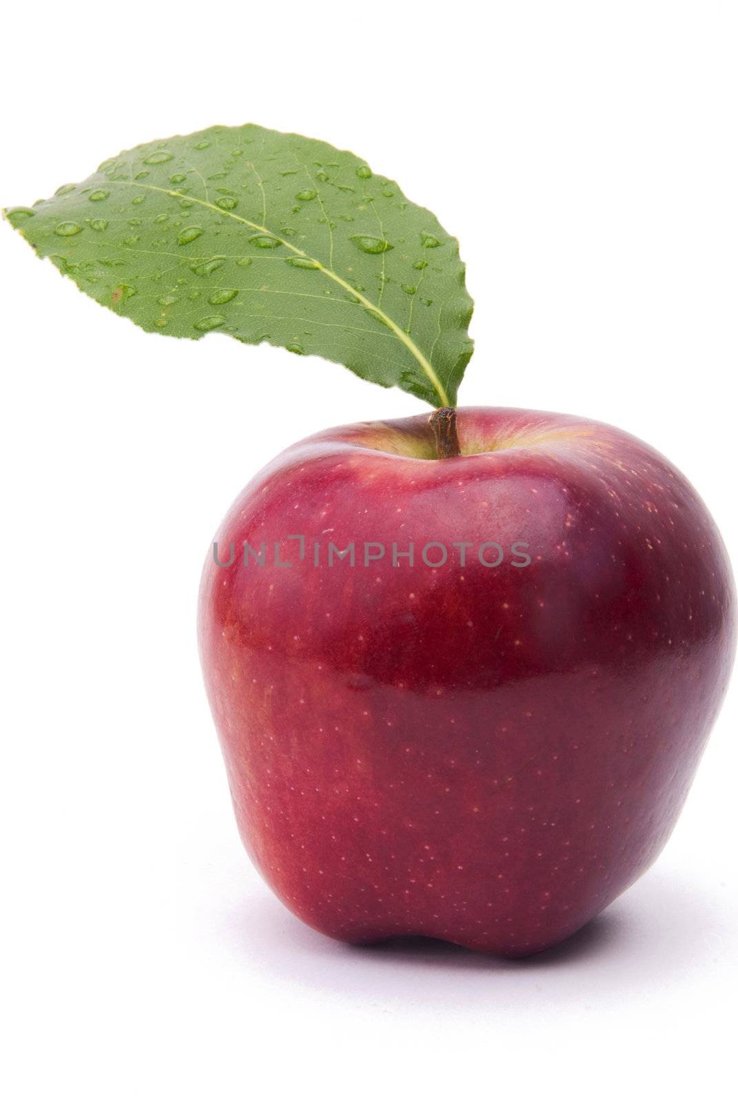 Red Apple On White Background