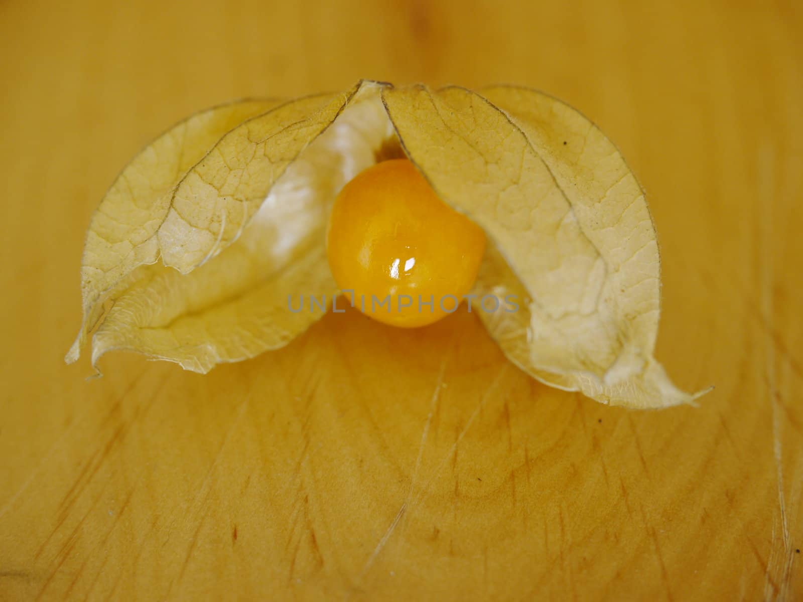 fresh Physalis on a wooden surface table