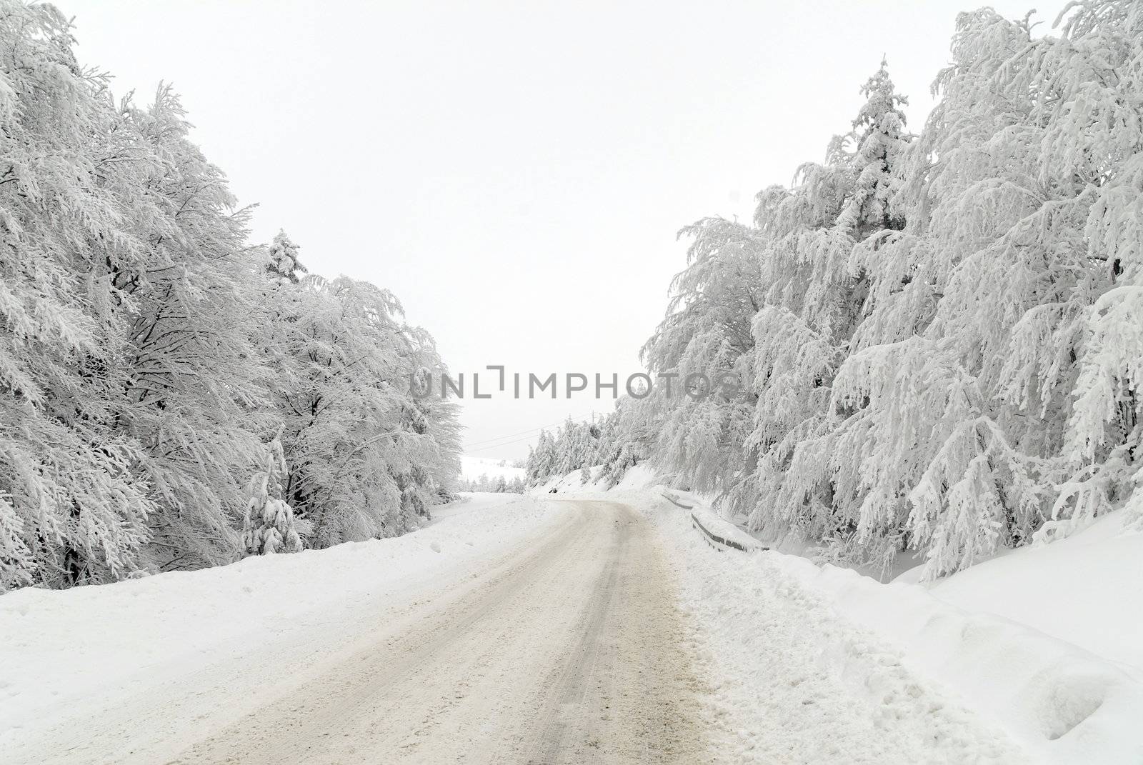 Traffic road in frost and snow, mountain, forest