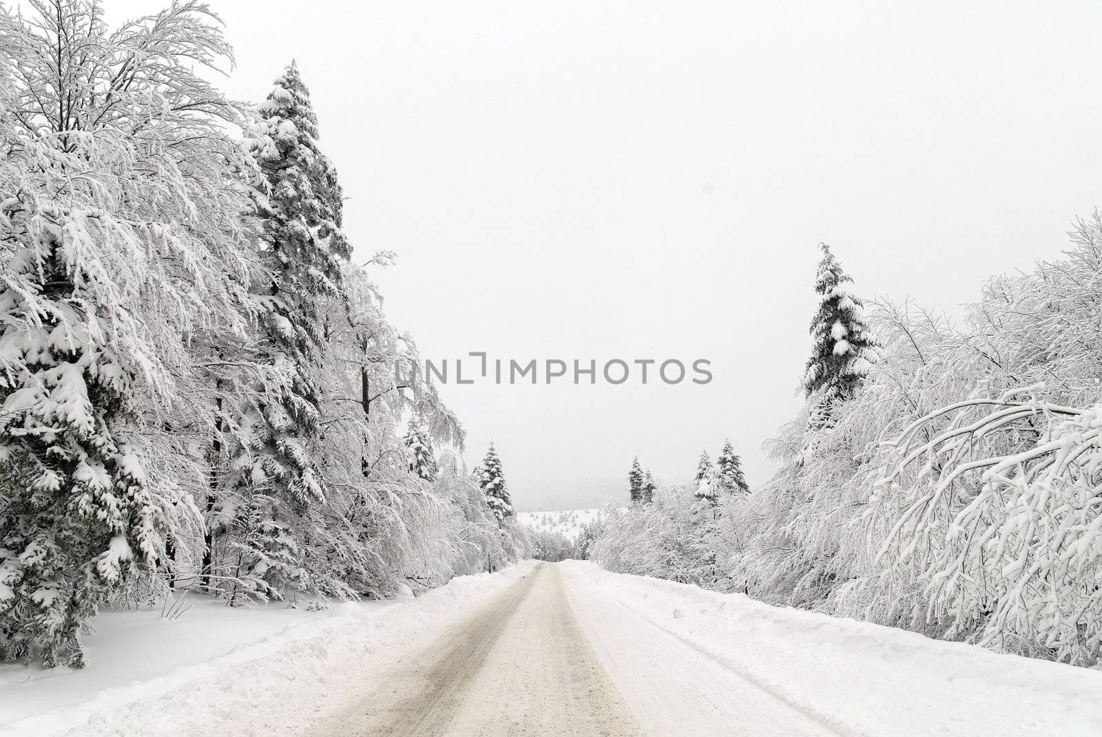 Traffic road in snow by adamr