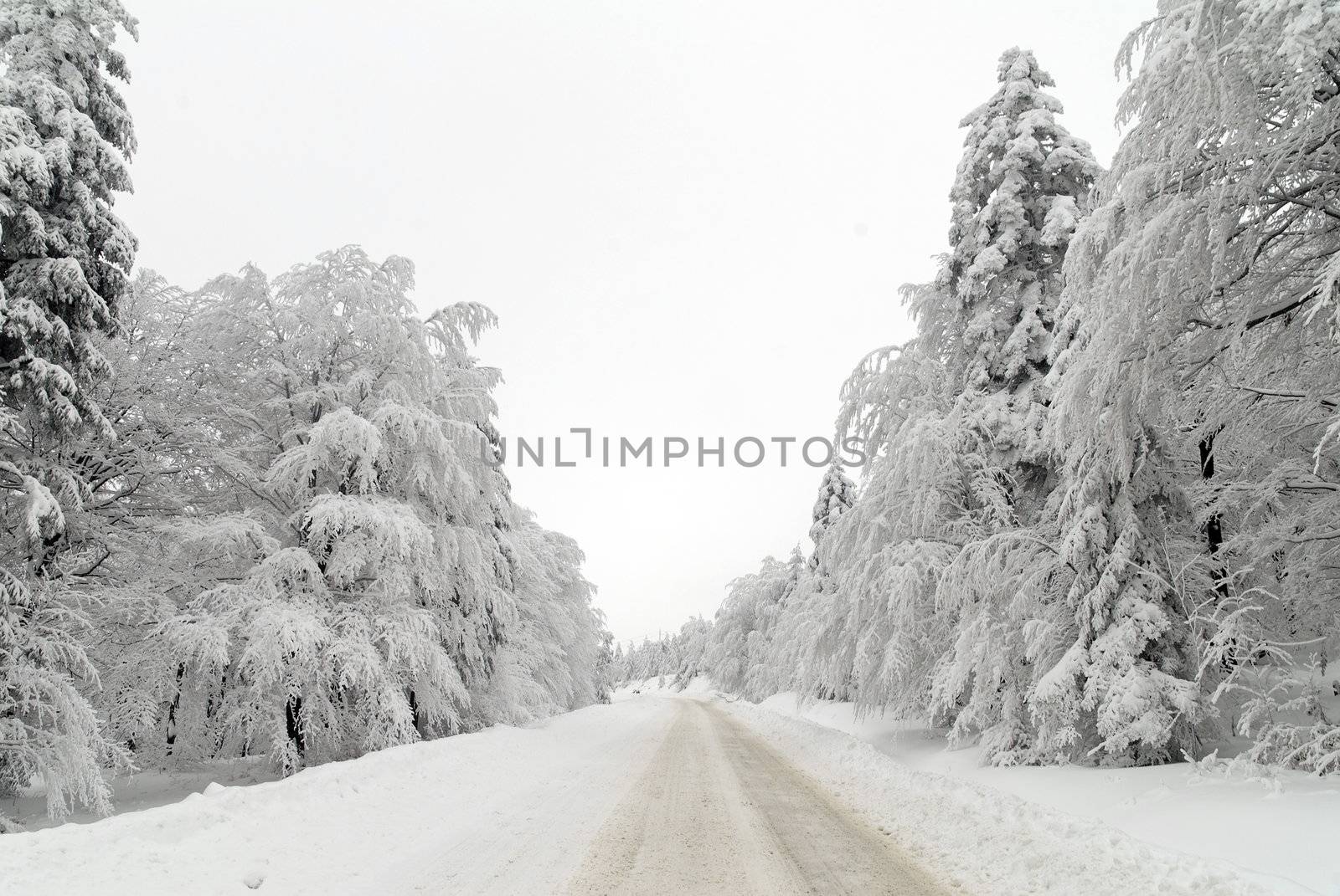 Traffic road in frost and snow, mountain, forest