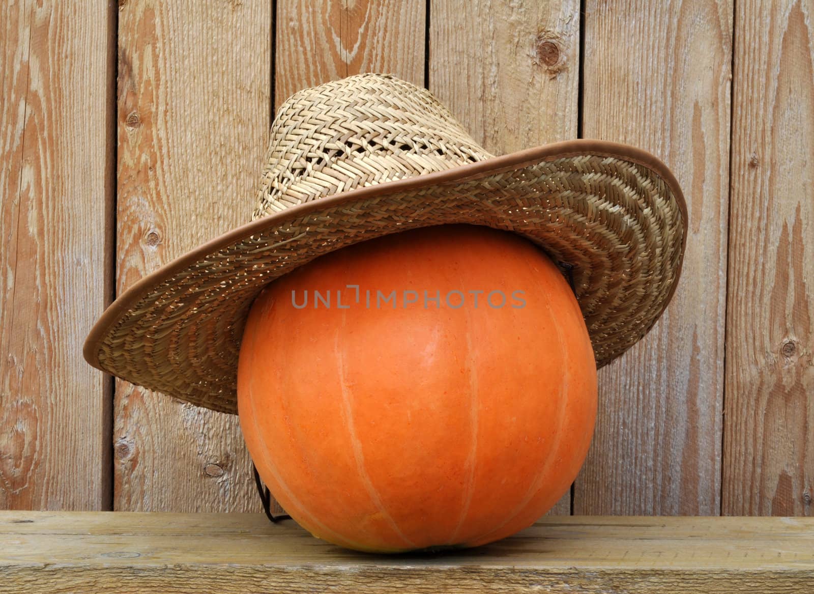 Pumpkin in a straw hat against wooden boards, photo by a Halloween