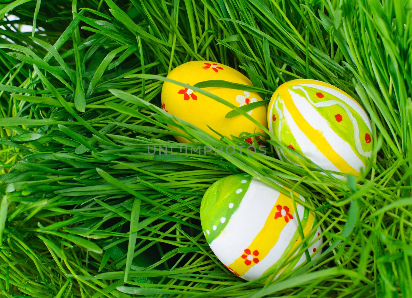 Easter eggs are colored in green spring grass by maxoliki